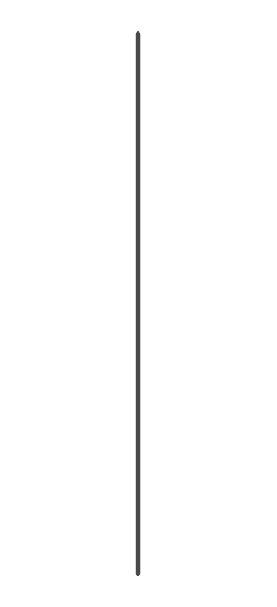 Black ruler or measuring stick with white markings and a red tip