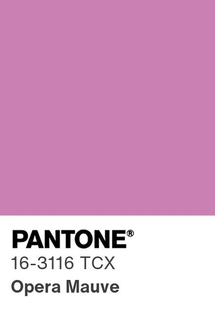 opera mauve.jpeg
