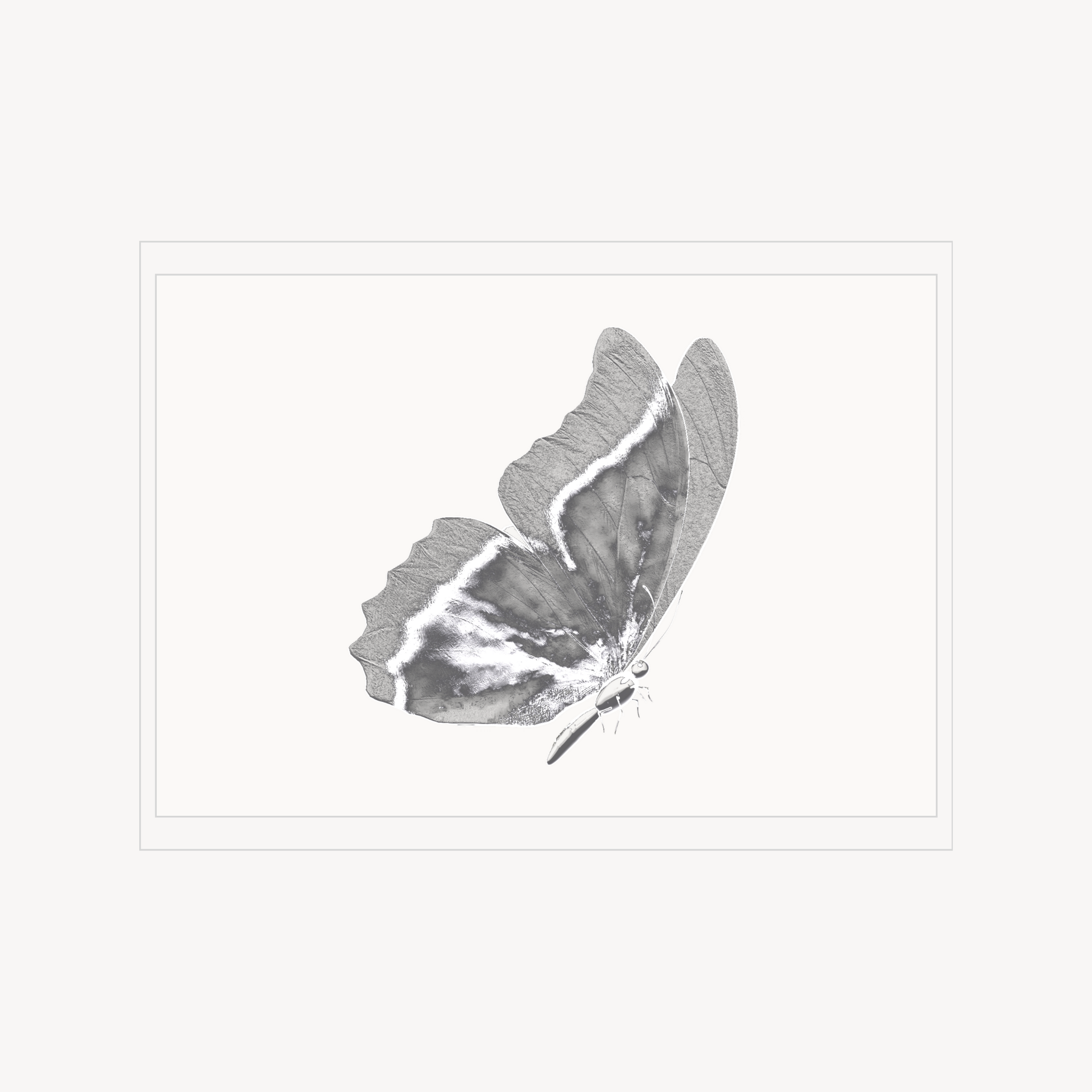 Minimal line-art illustration print of a butterfly.