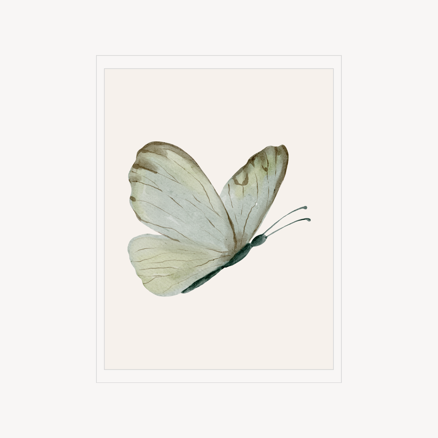 Minimal illustration print of a pale butterfly with soft green-grey tones against a light background.