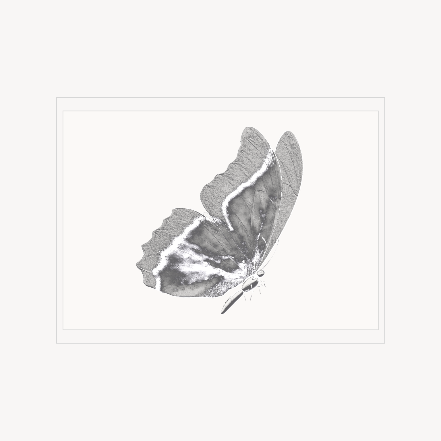 Minimal line-art illustration print of a butterfly.