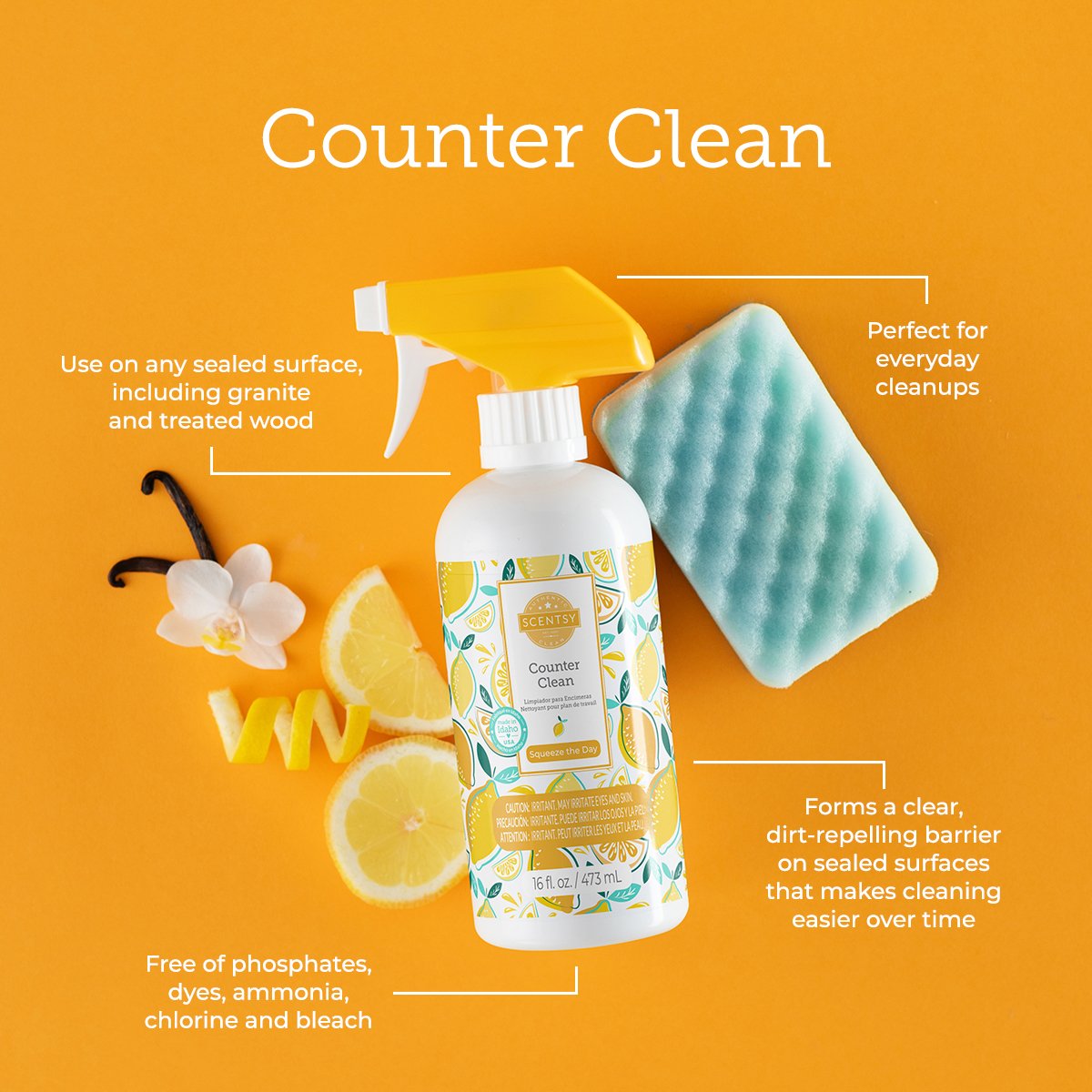Squeze the Day Clean.jpg