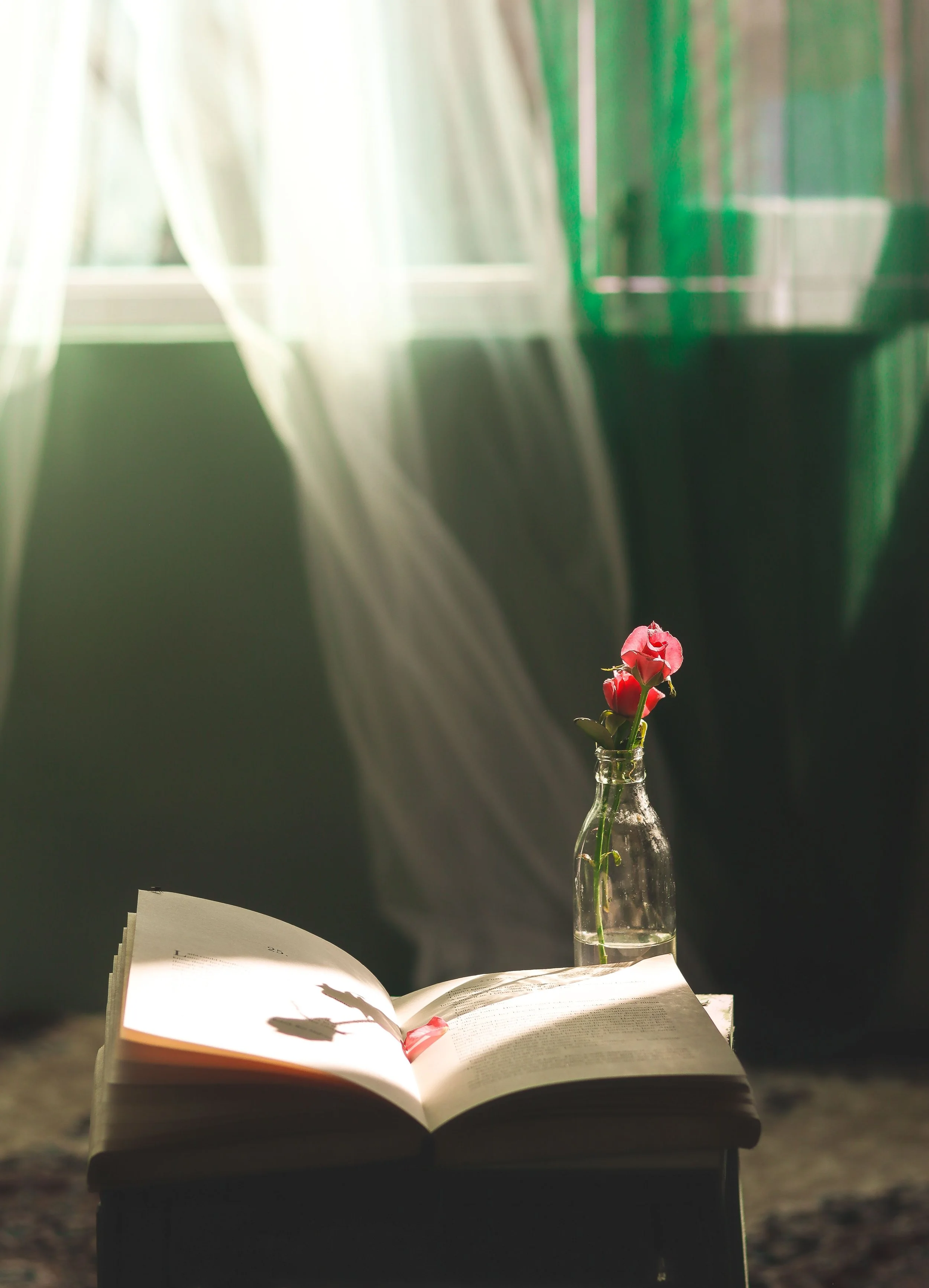 Open book on a table with a glass bottle holding a pink flower, with blurred green and white background and sunlight shining through curtains.