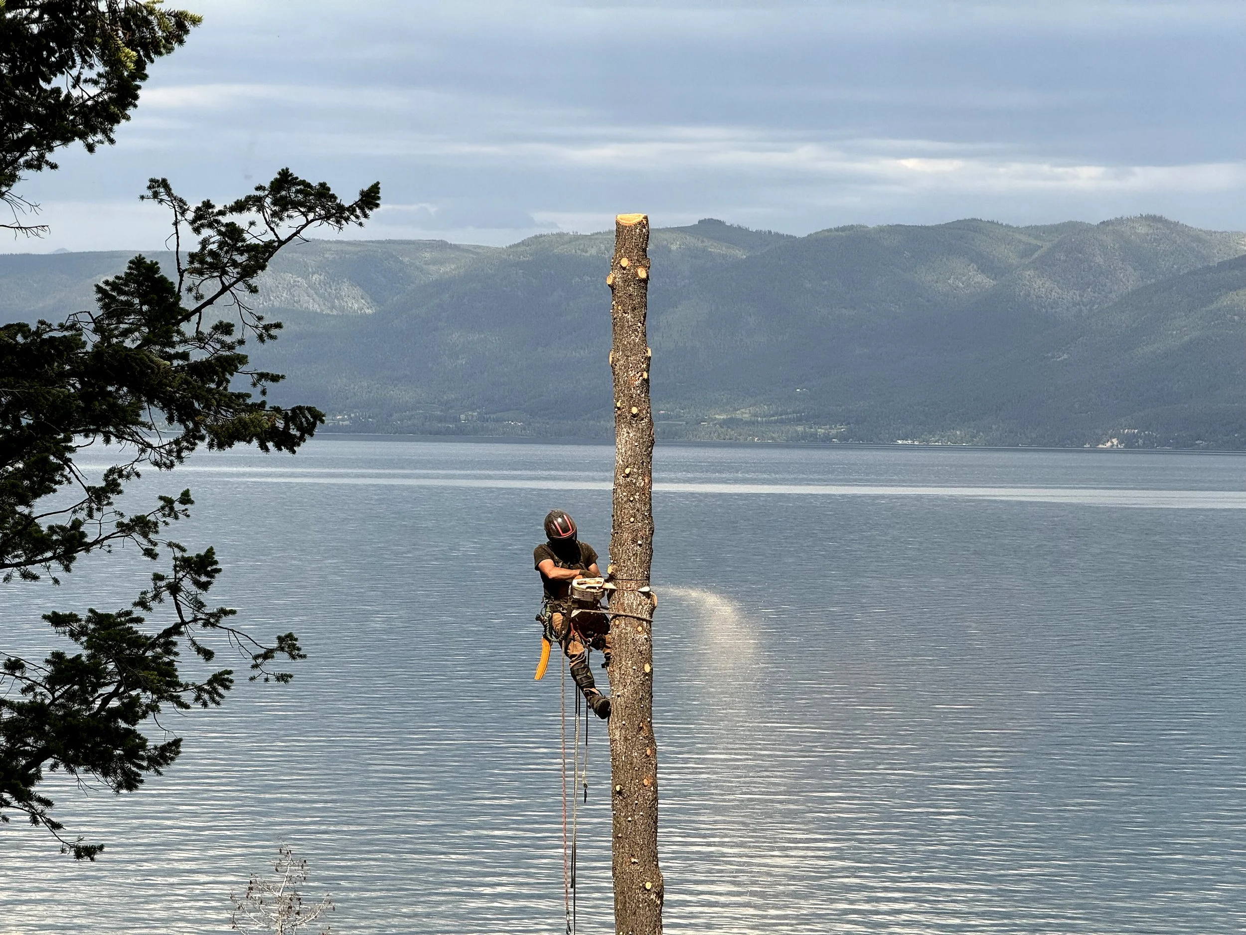 Lake place work (1).jpg