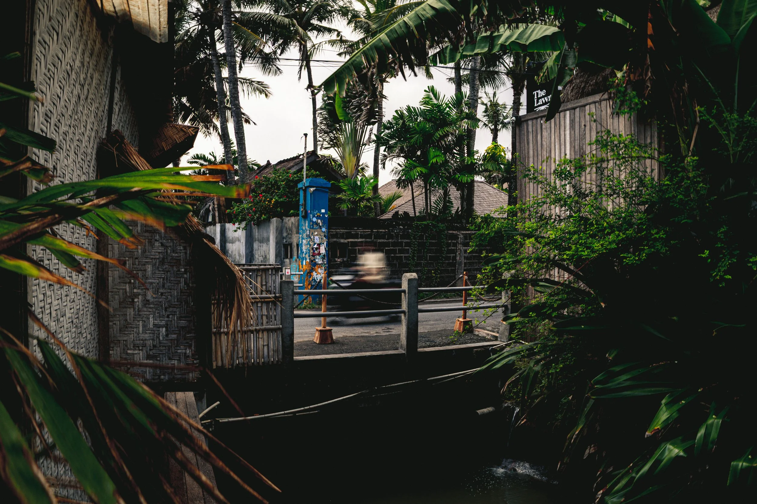 bali-202.jpeg