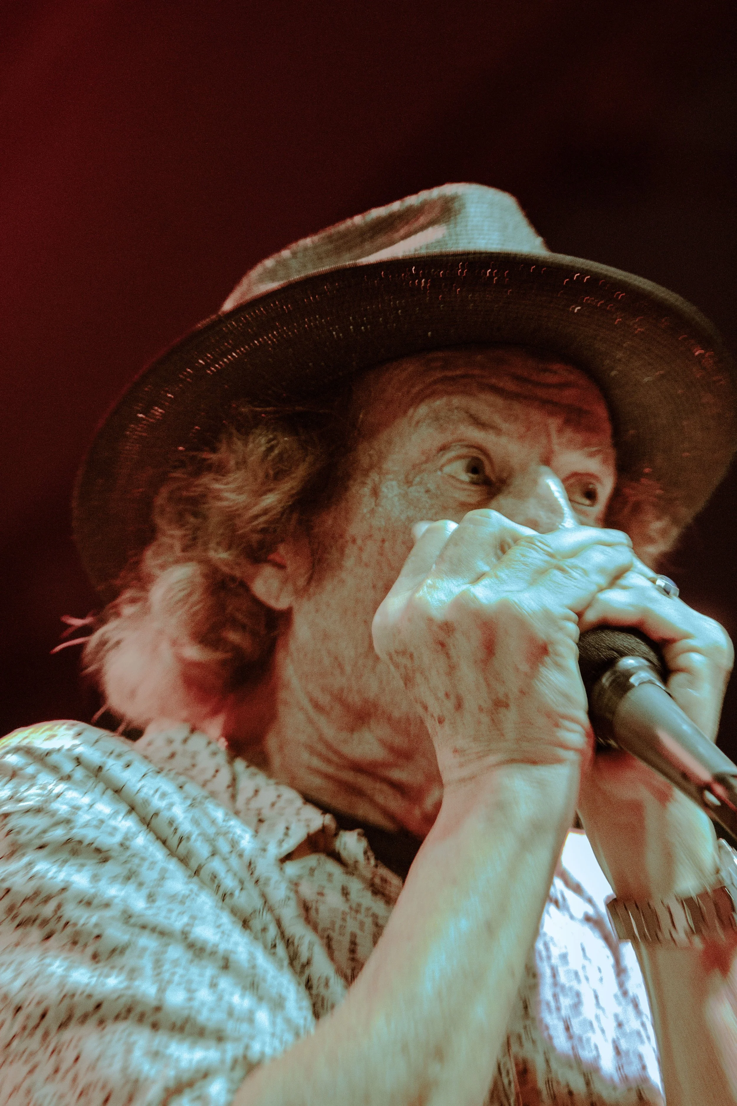 Devon Allman5.jpg