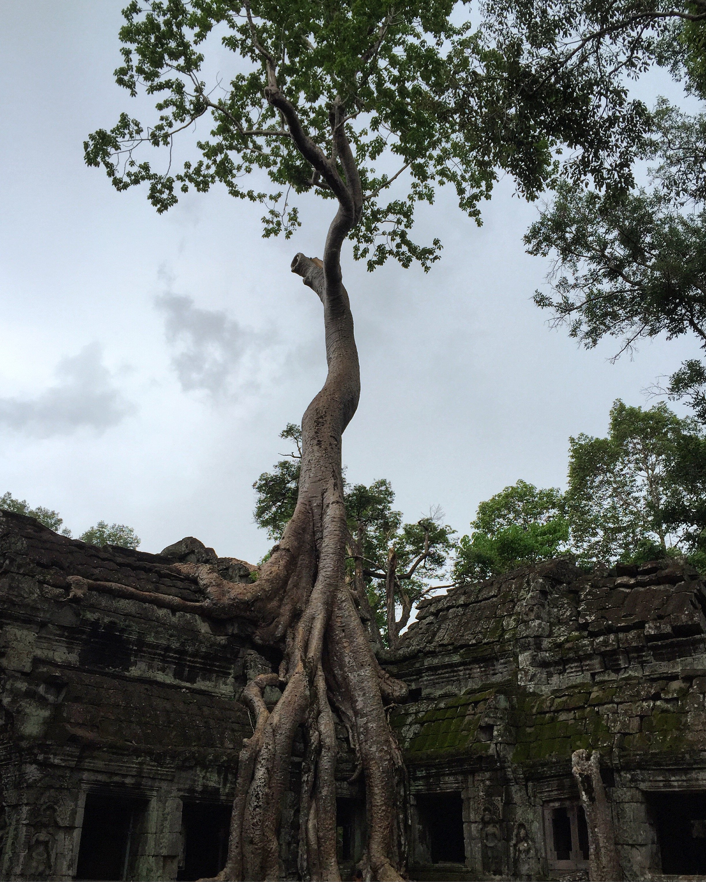 What’s All This Fuss About Empathy?