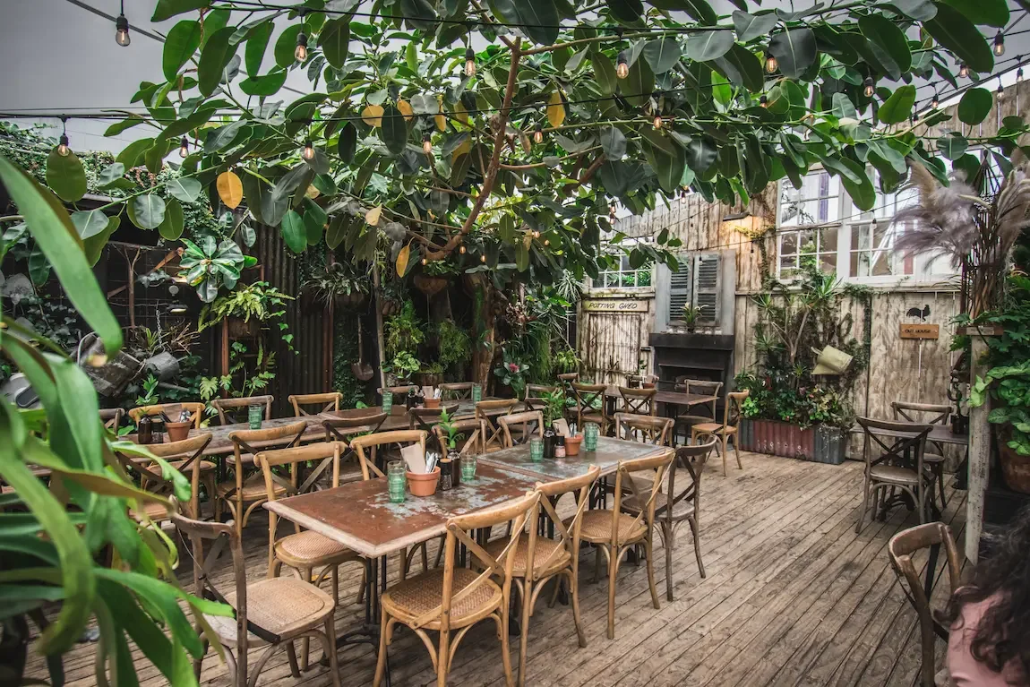 garden-courtyard-auckland.webp
