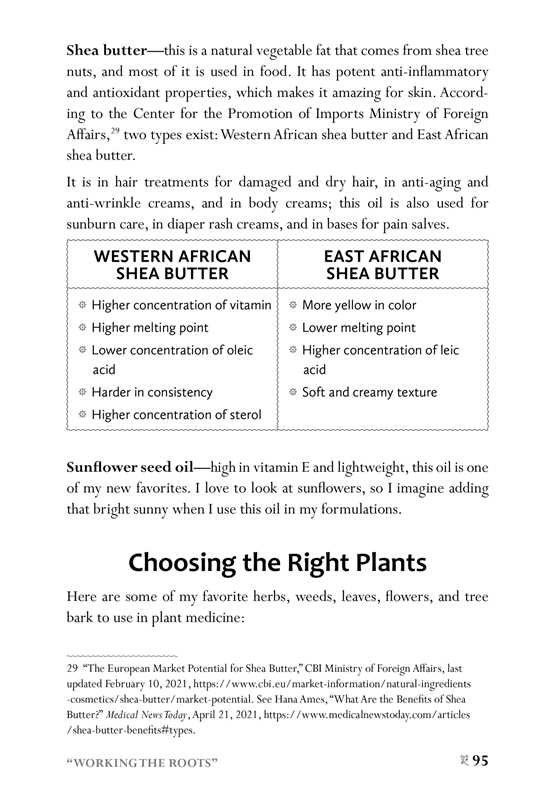 african4.jpeg