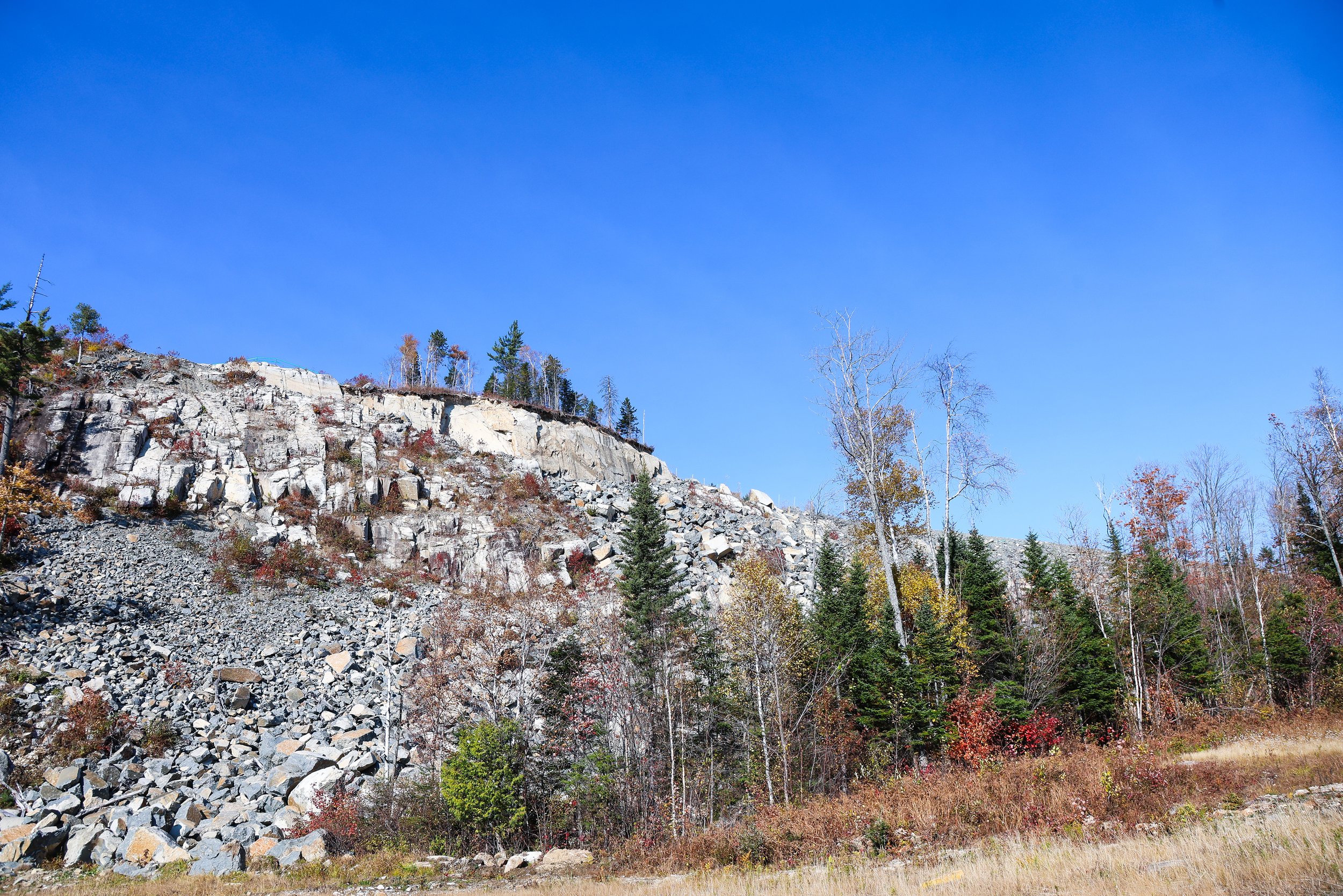 696A2717-1_800.jpg