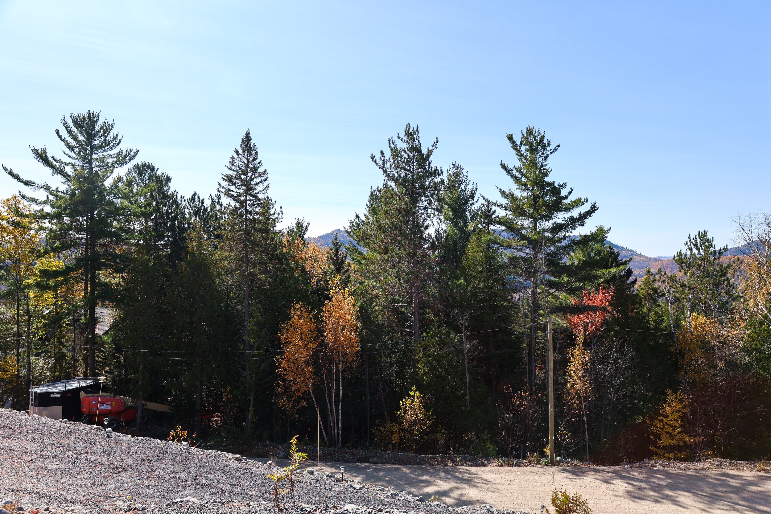 696A2580-2.jpg