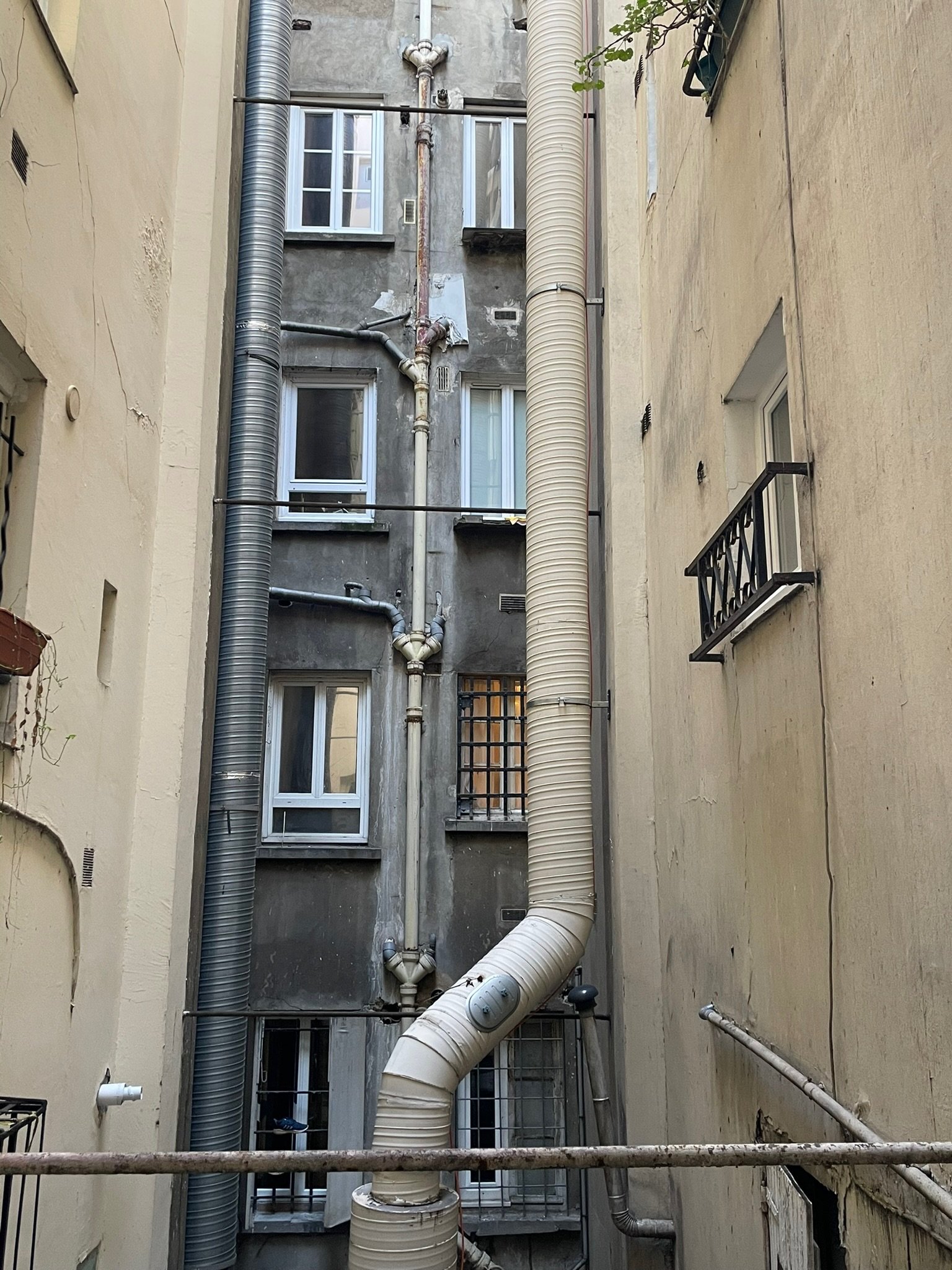 IMG_1246.jpeg
