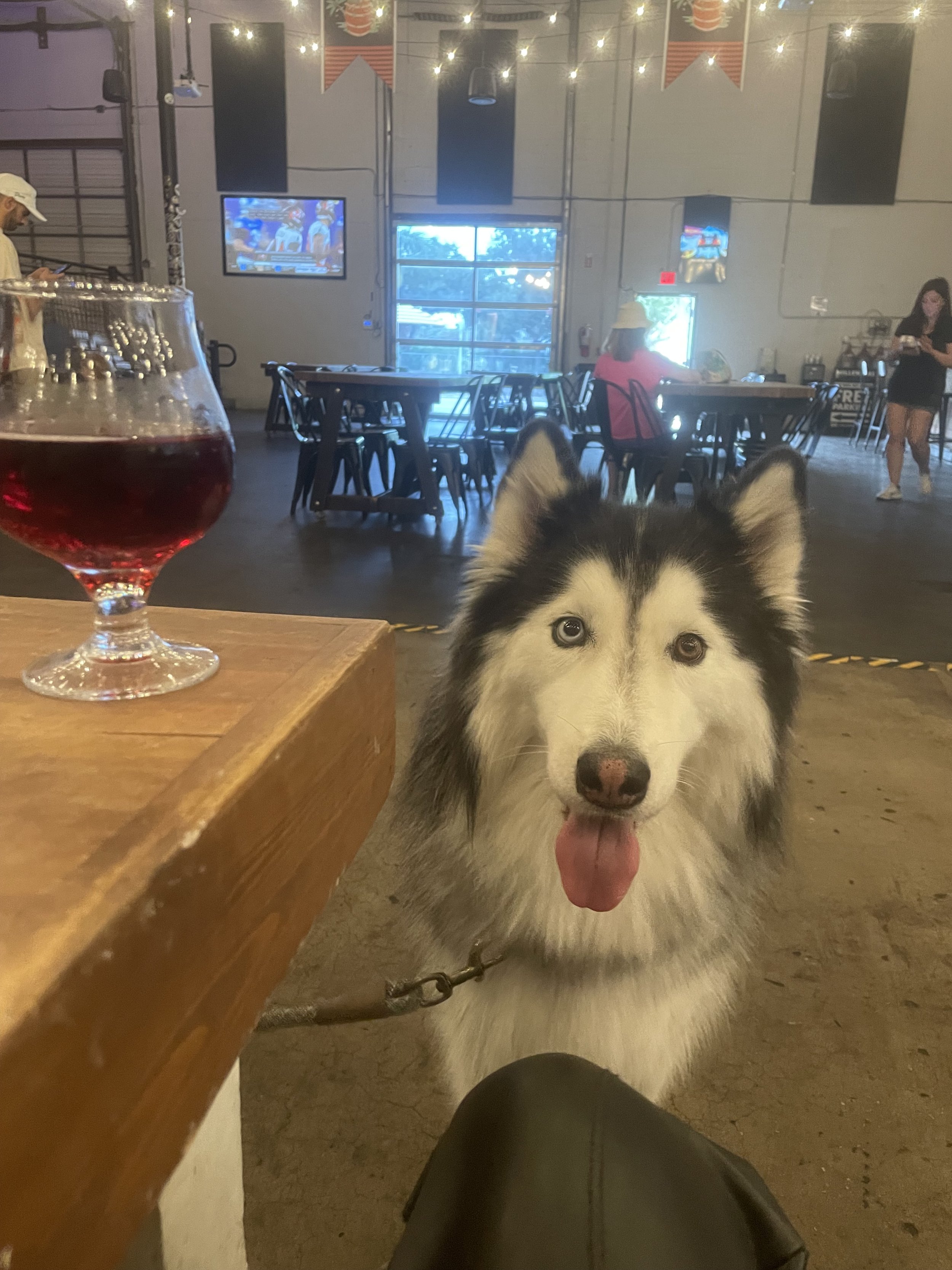 I enjoy Black Widow Cider.