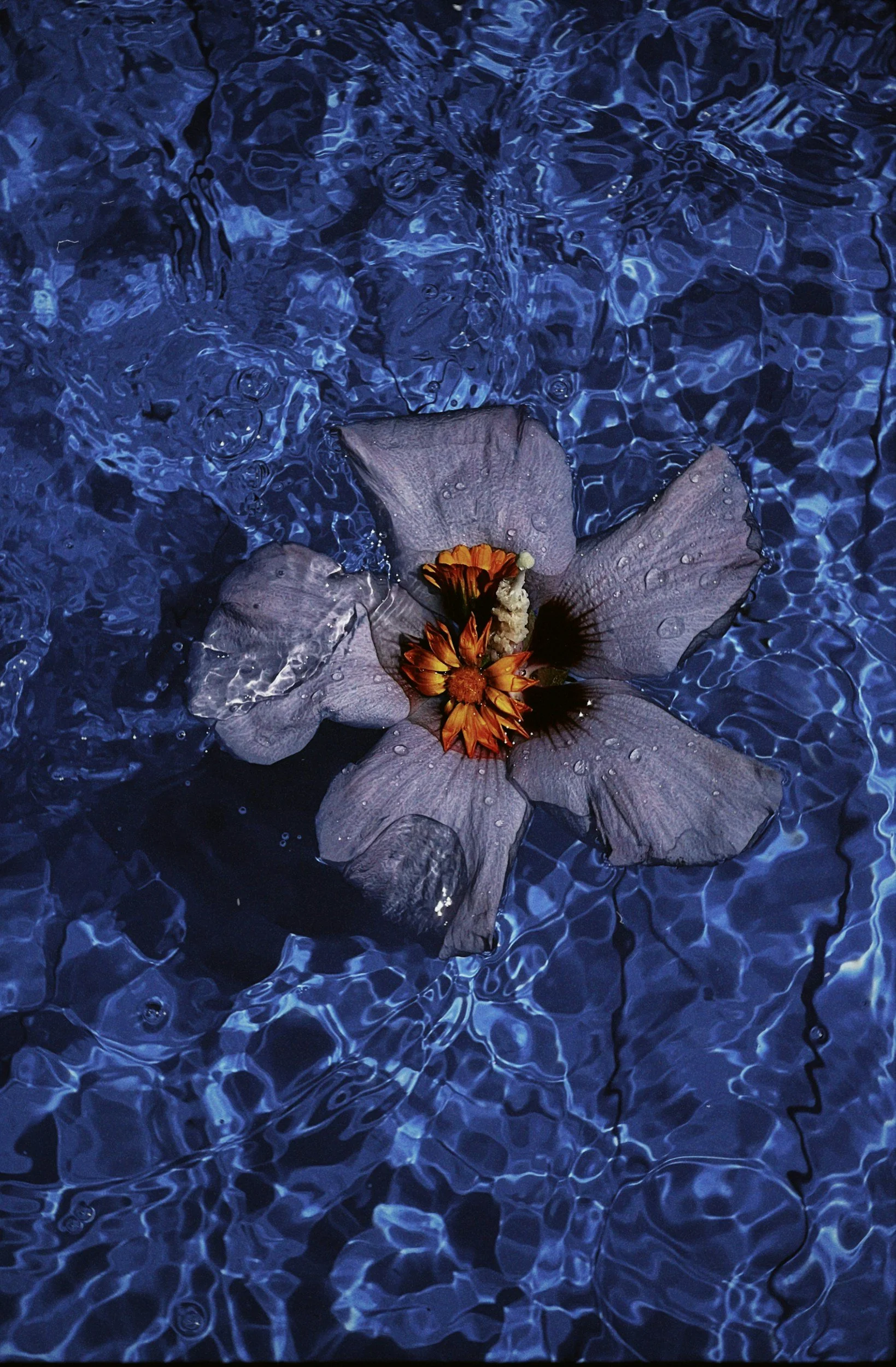 The History of Sacred Bathing Rituals and Yoni Steaming