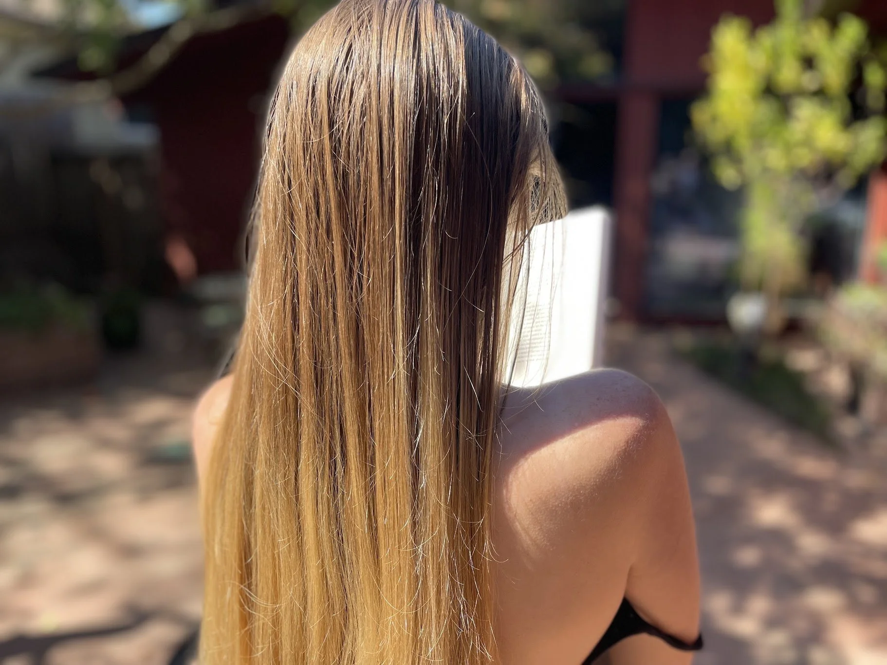 Anais