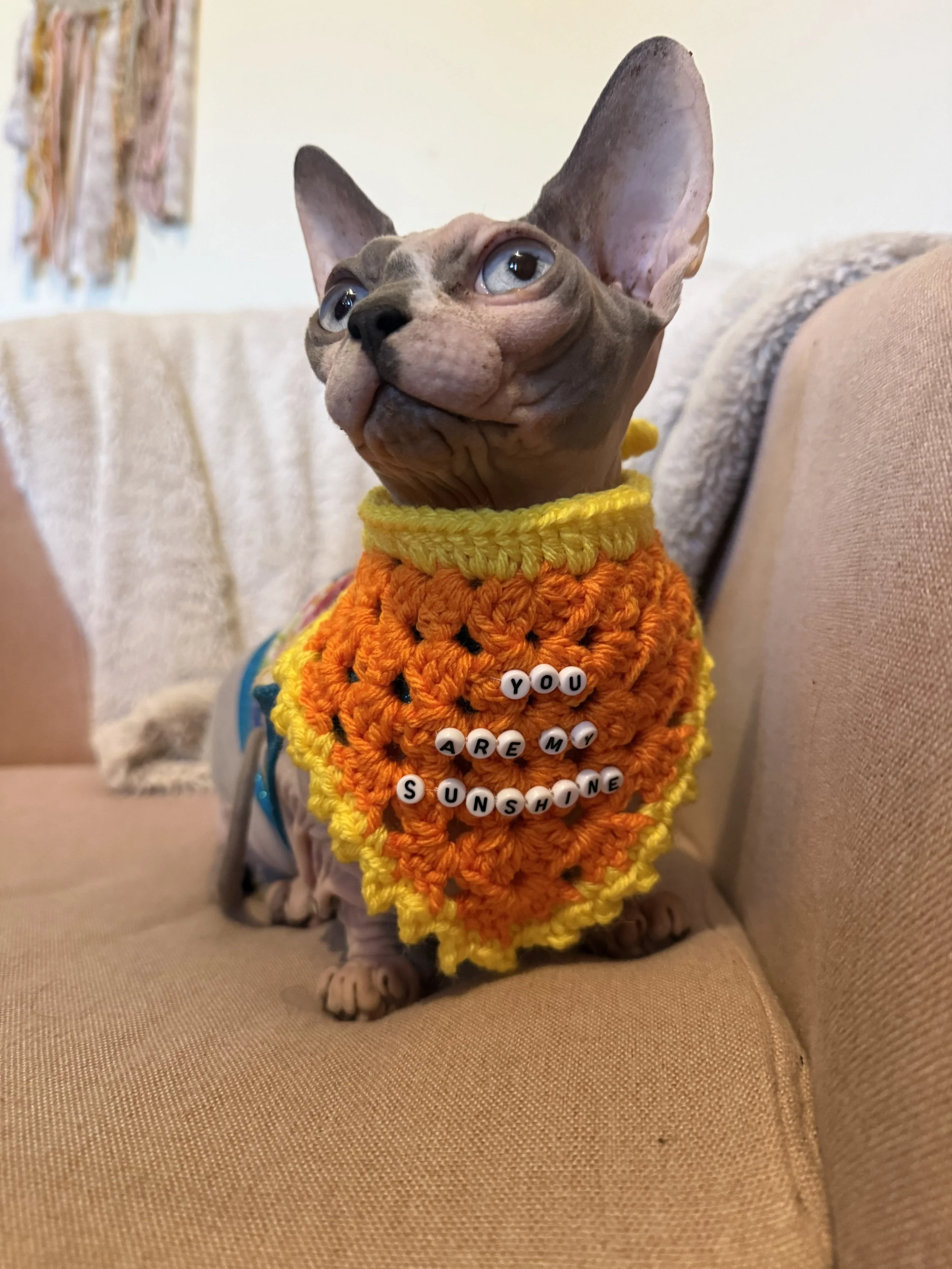 Bandana- You Are My Sunshine