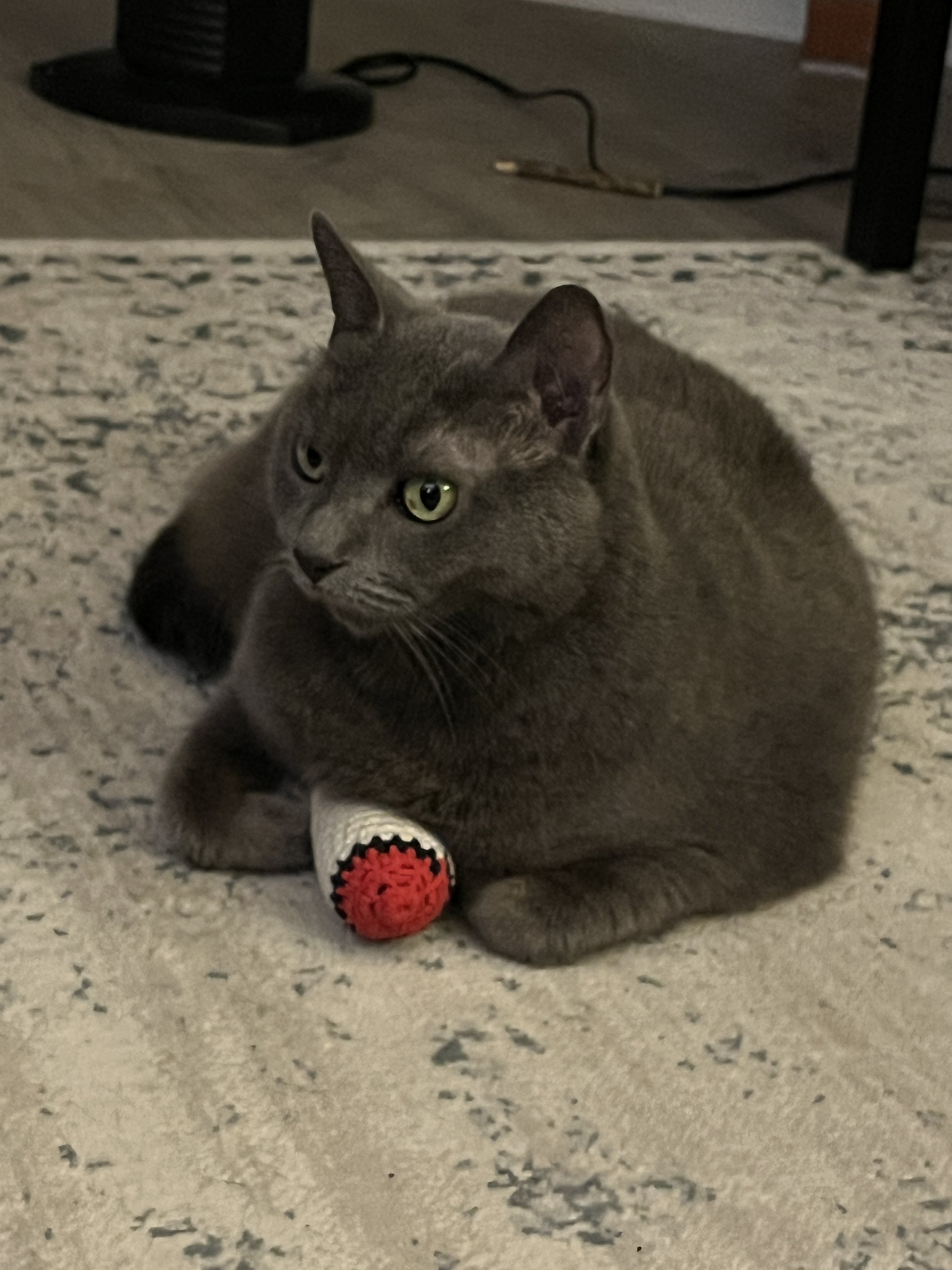 Catnip Joint