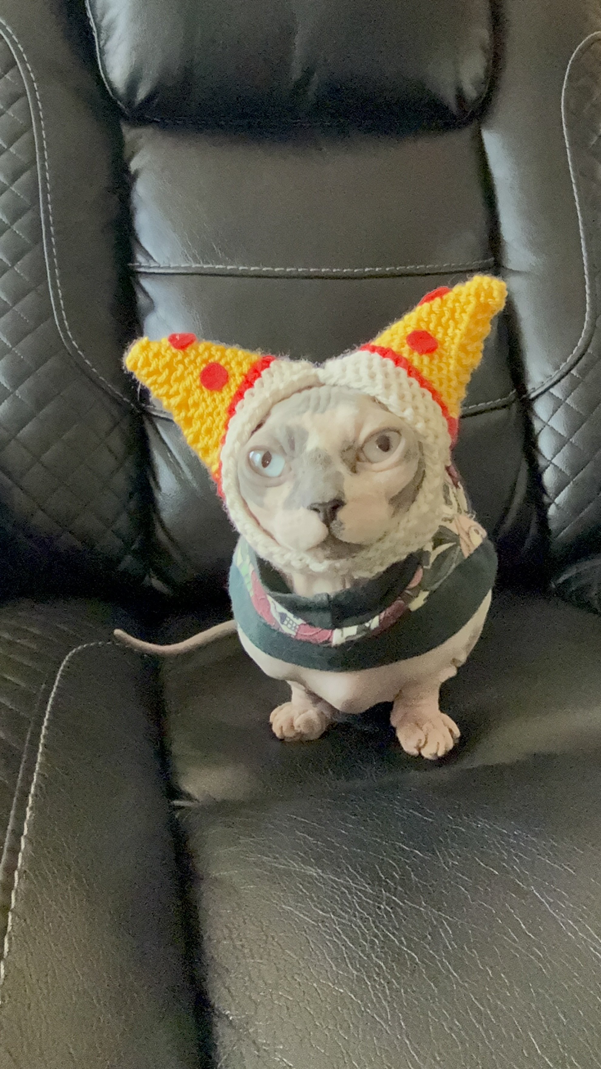 Purramid Cat Hat- Pizza