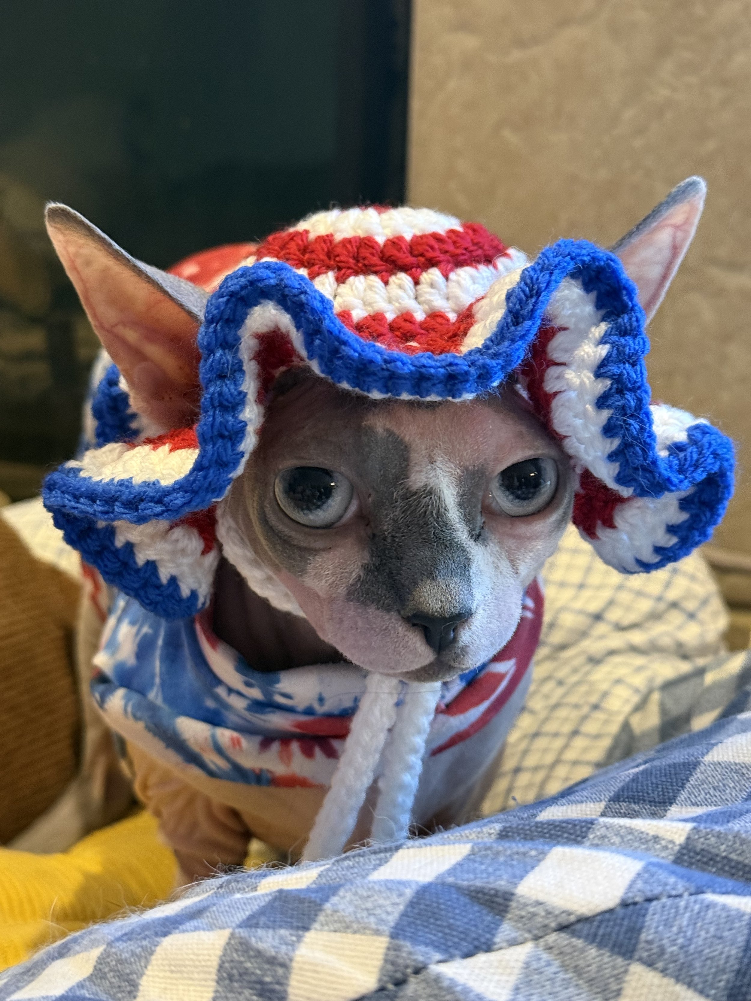 The Stripes Cat Sun Hat