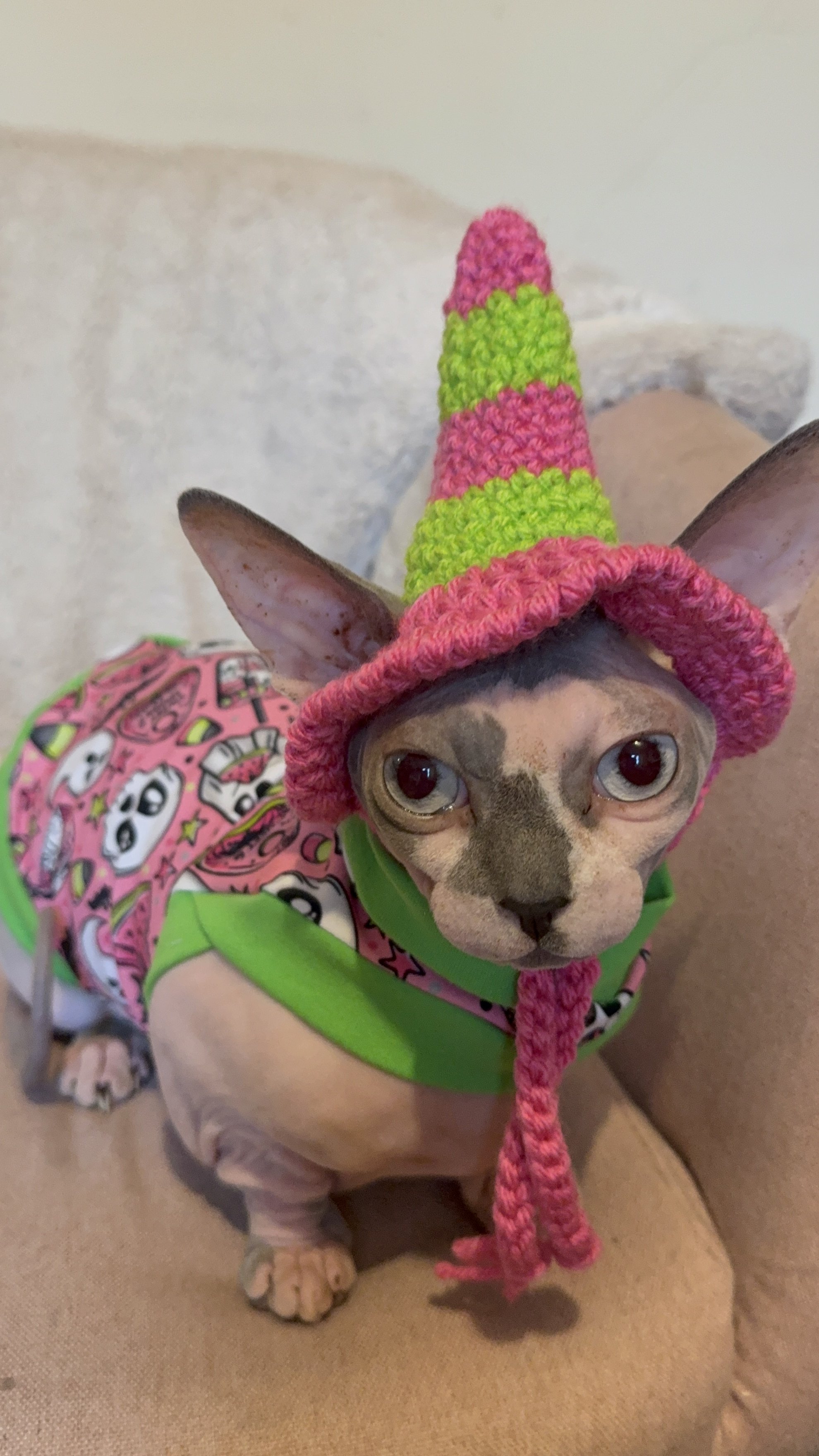 Summerween Witch Cat Hat