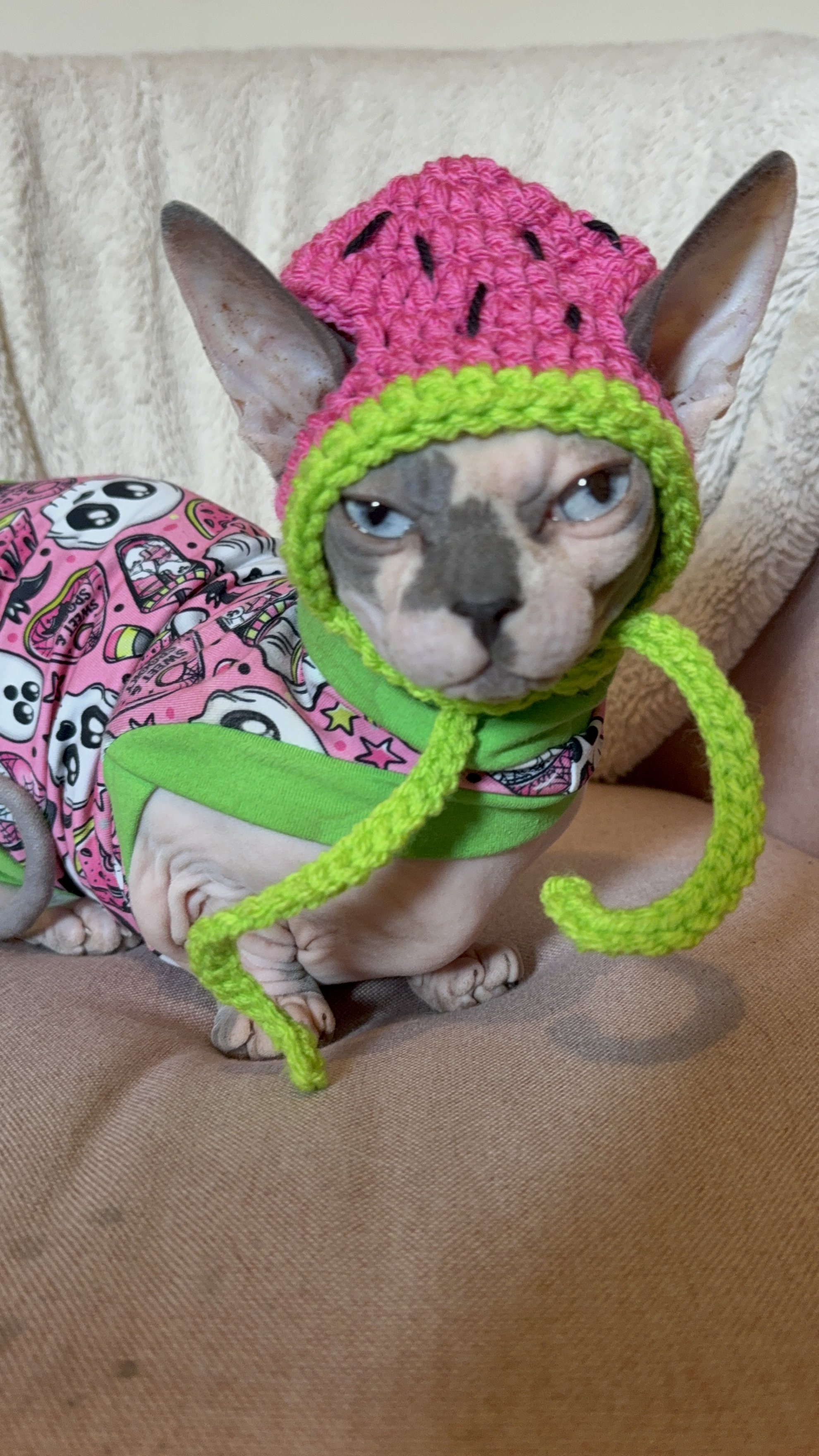 Watermelon Cat Hat