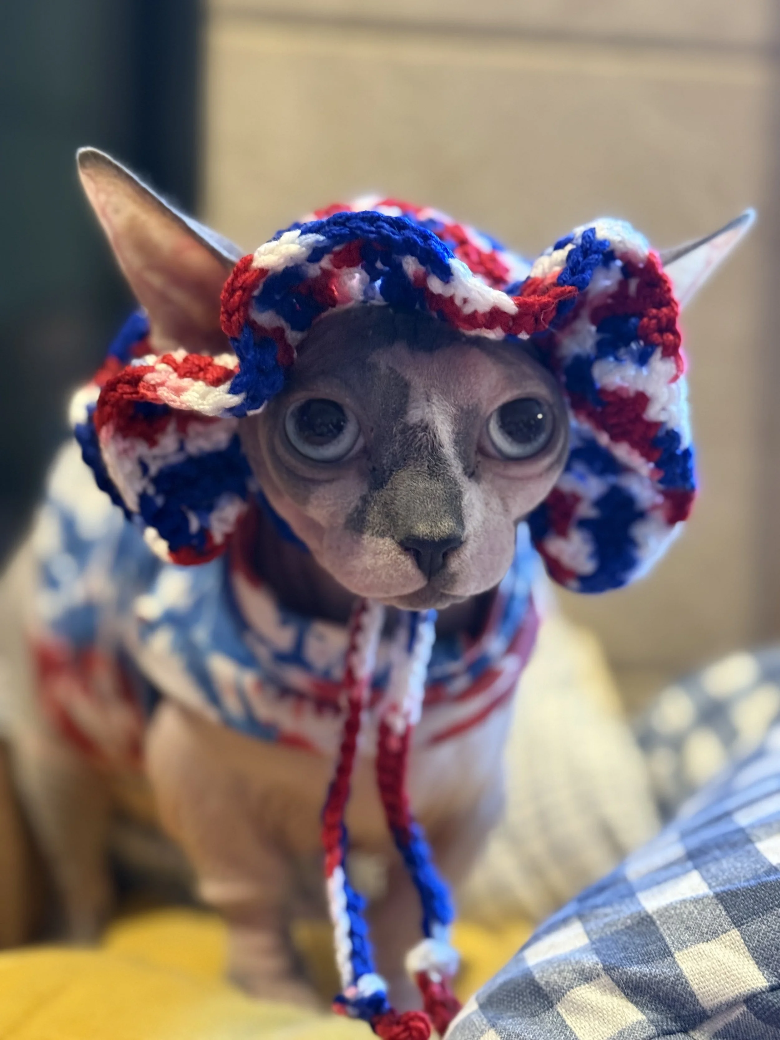 Patriotic Cat Sun Hat