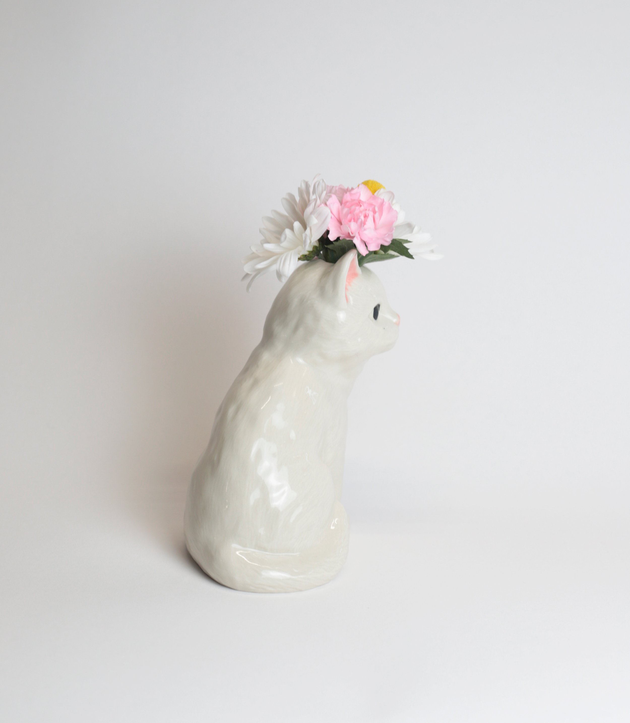 White Cat 05.jpg
