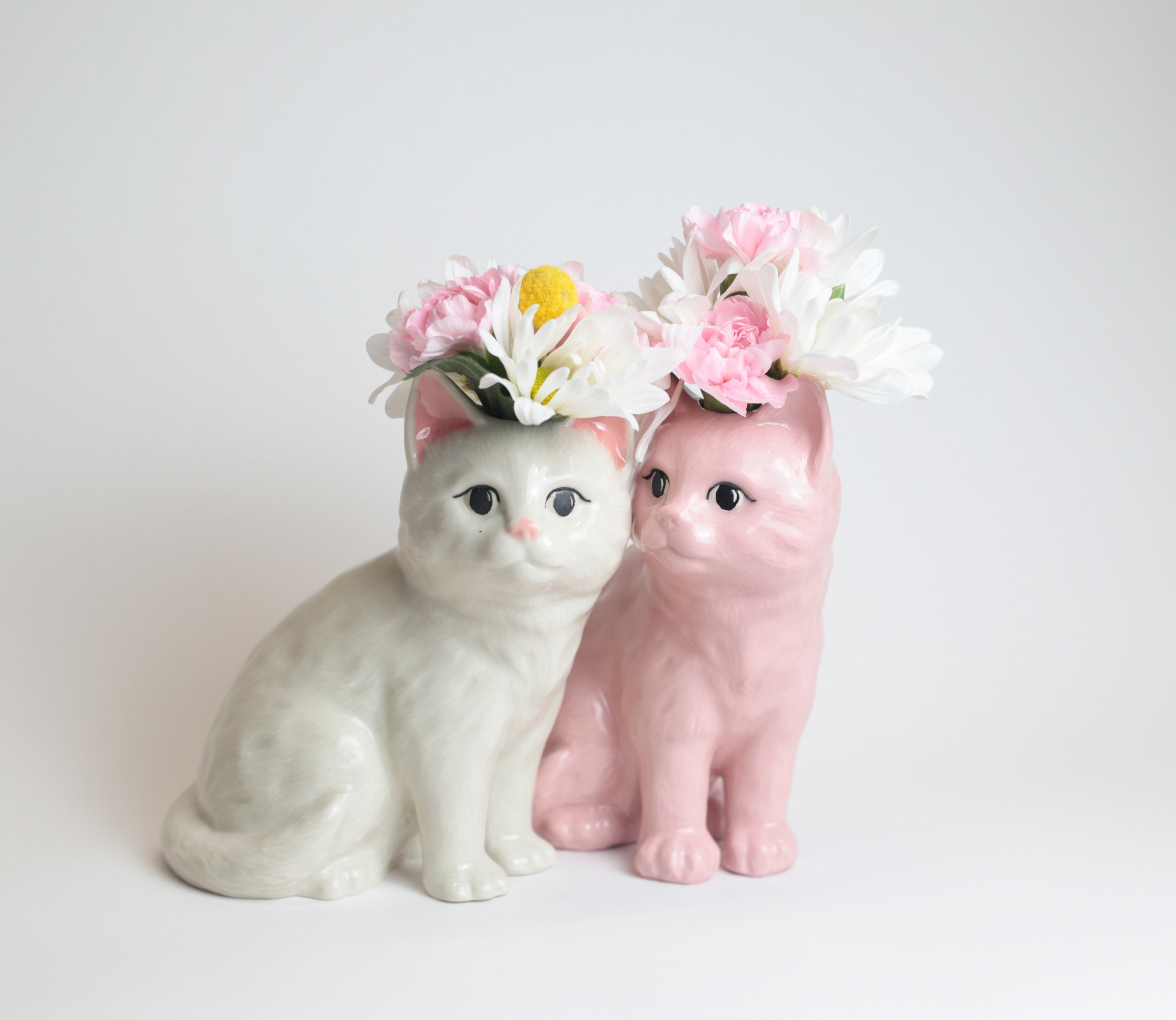 White Cat 02.jpg