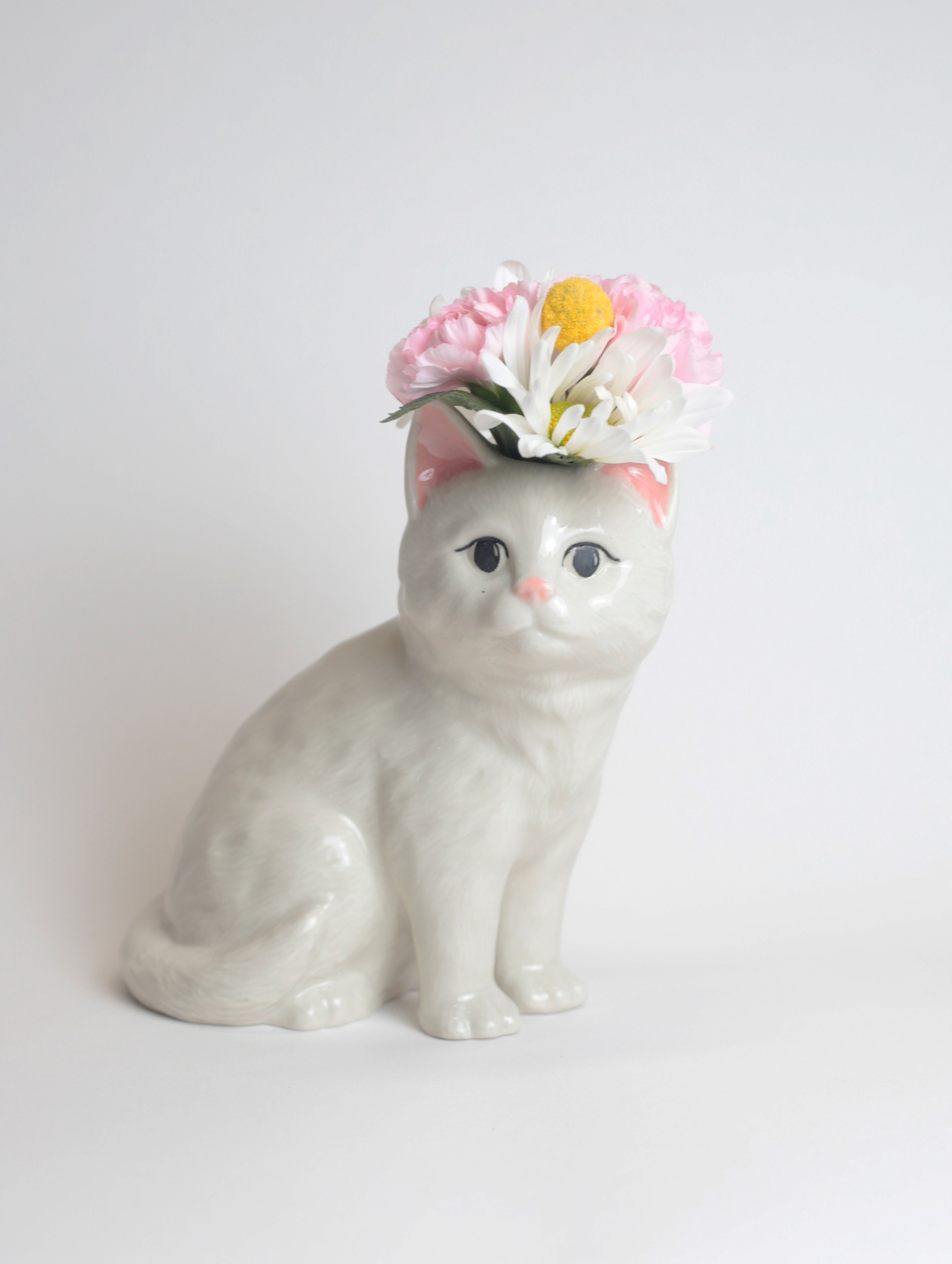 White Cat 08.jpg