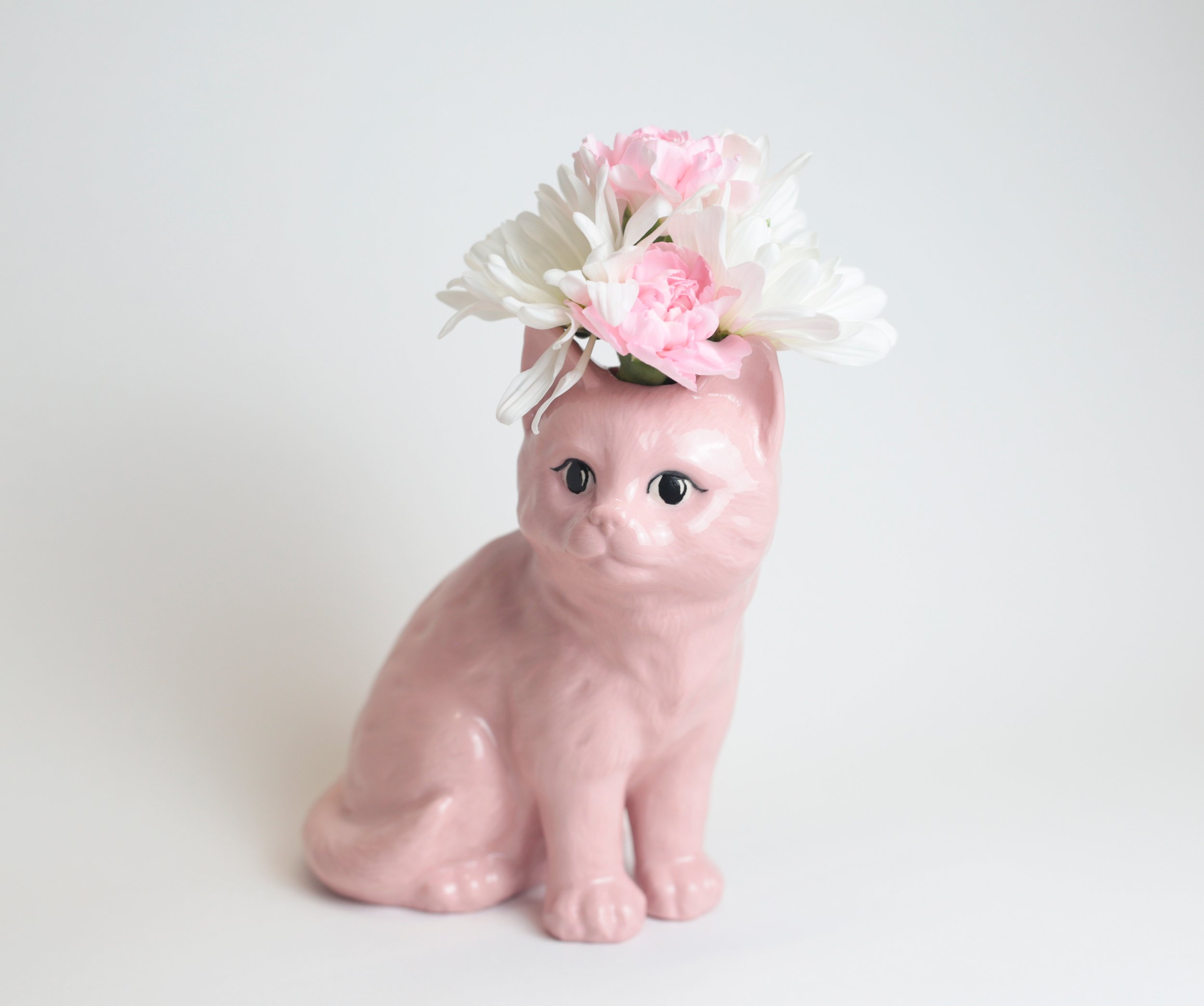 Pink Cat 05.jpg