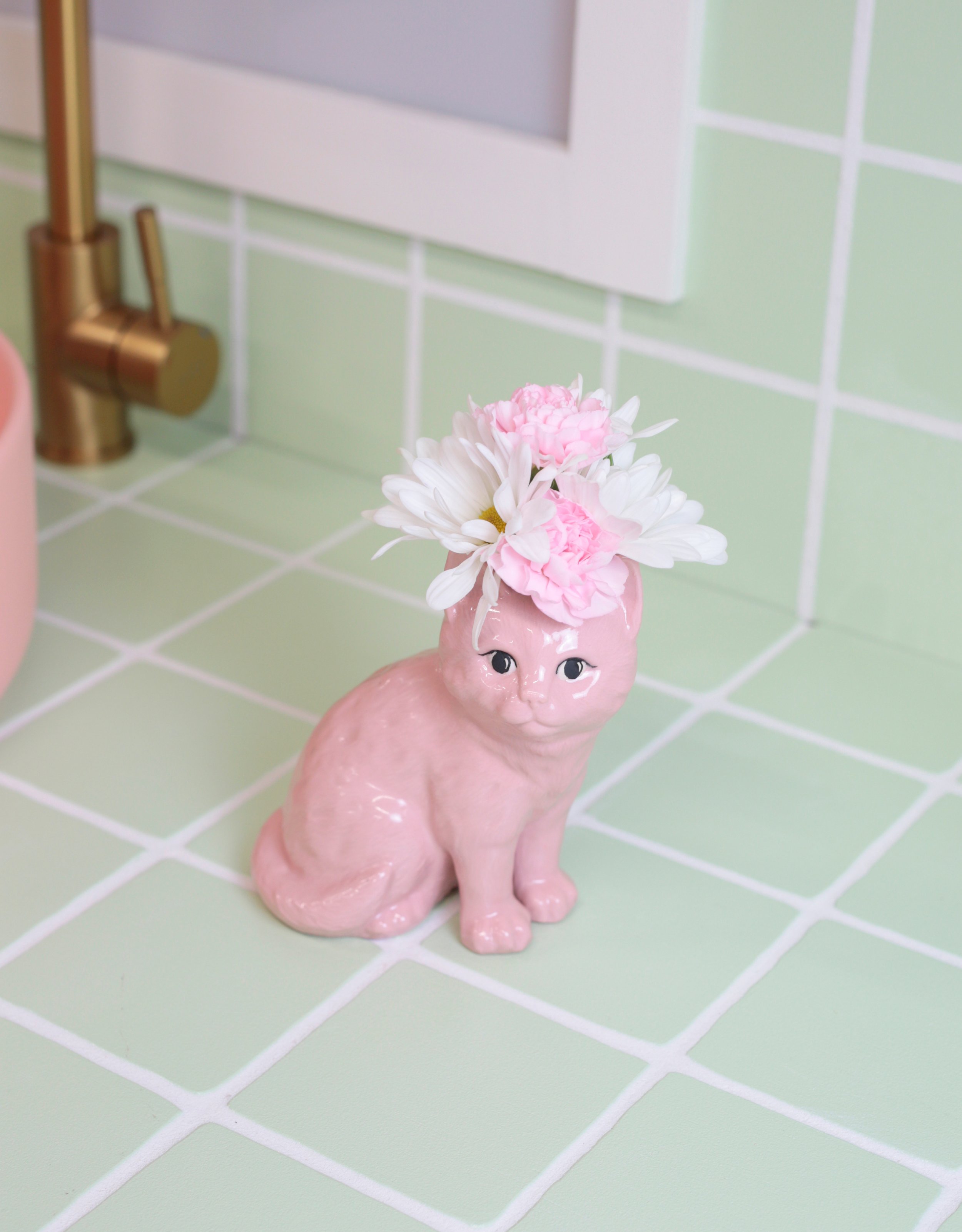 Pink Cat 01.jpg