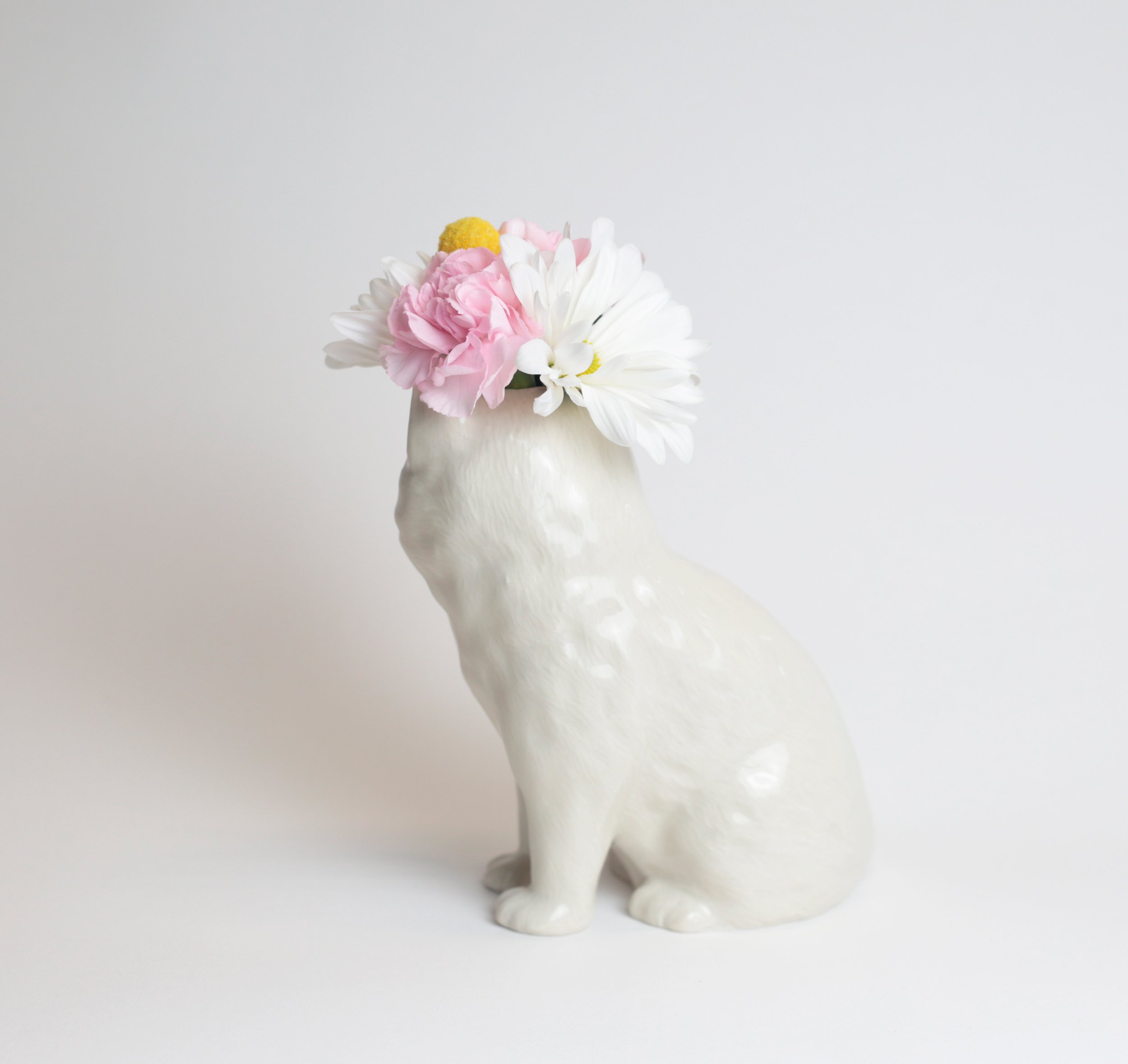 White Cat 07.jpg
