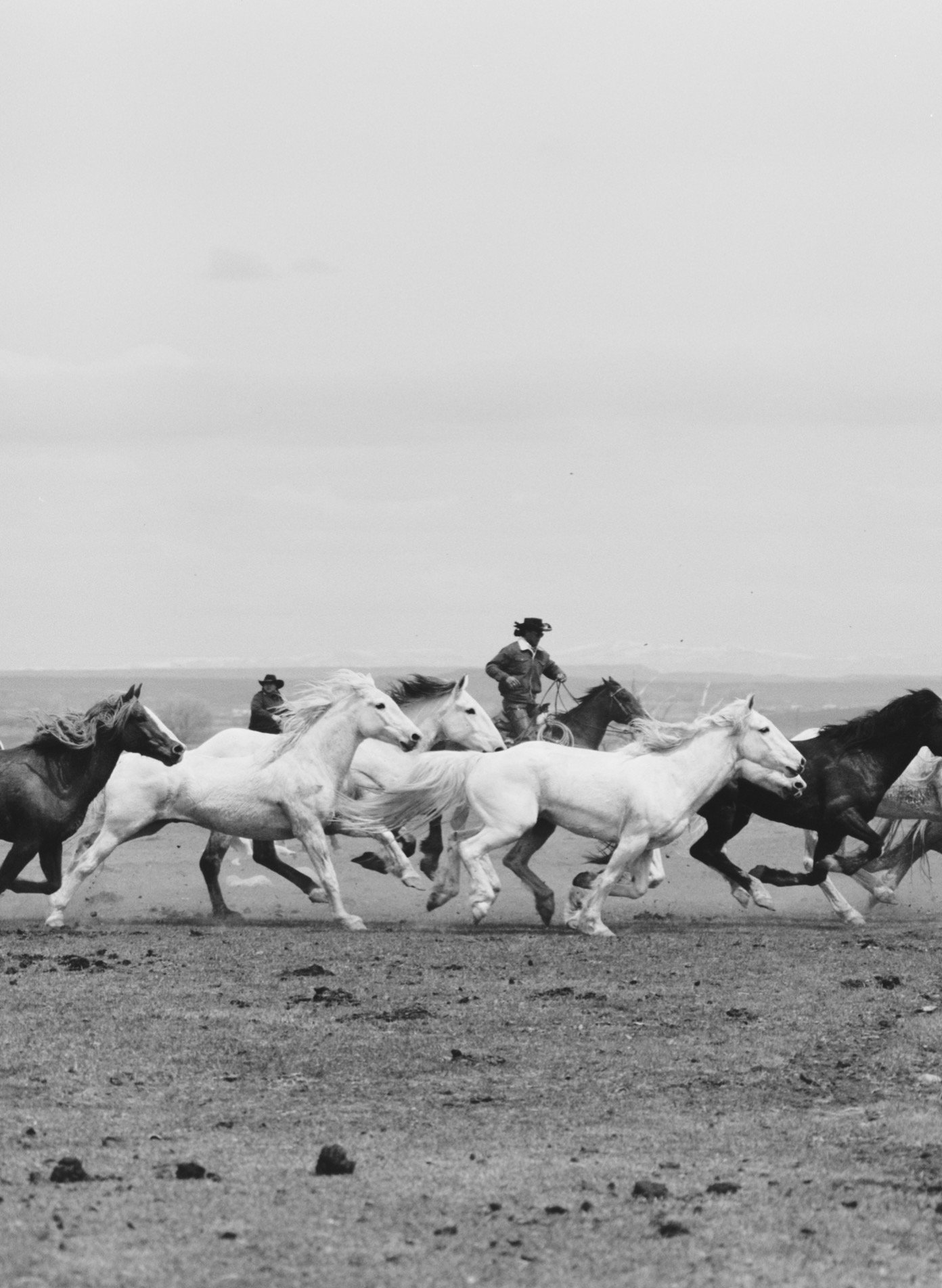 An indigenous man running amidst a herd of wild horses in a black and white, epic film photo capture.