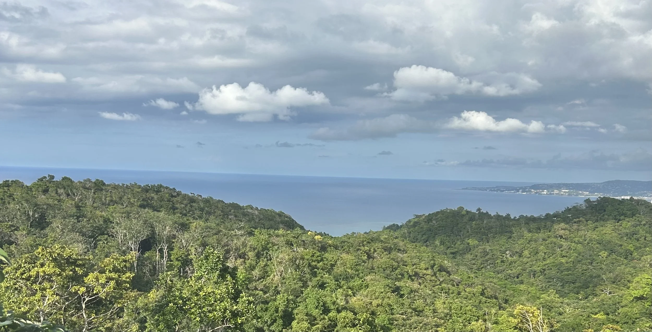 Hillside view from Bayview Hillside Villa at Round Hill overlooking Montego Bay and the Caribbean Sea in Jamaica
