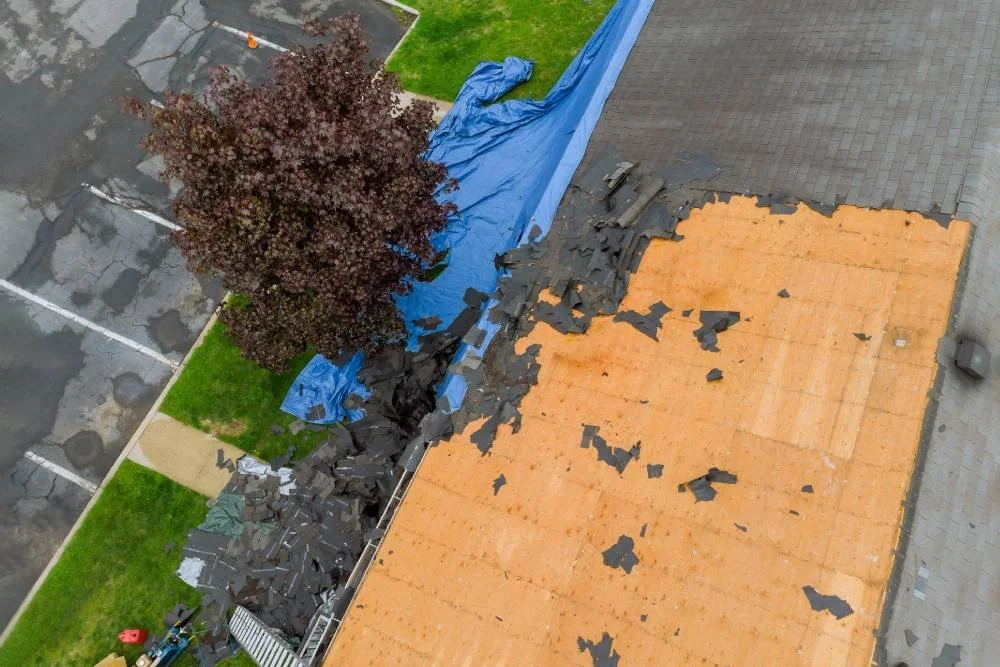 Top 10 Warning Signs Your Montana Home Needs A New Roof