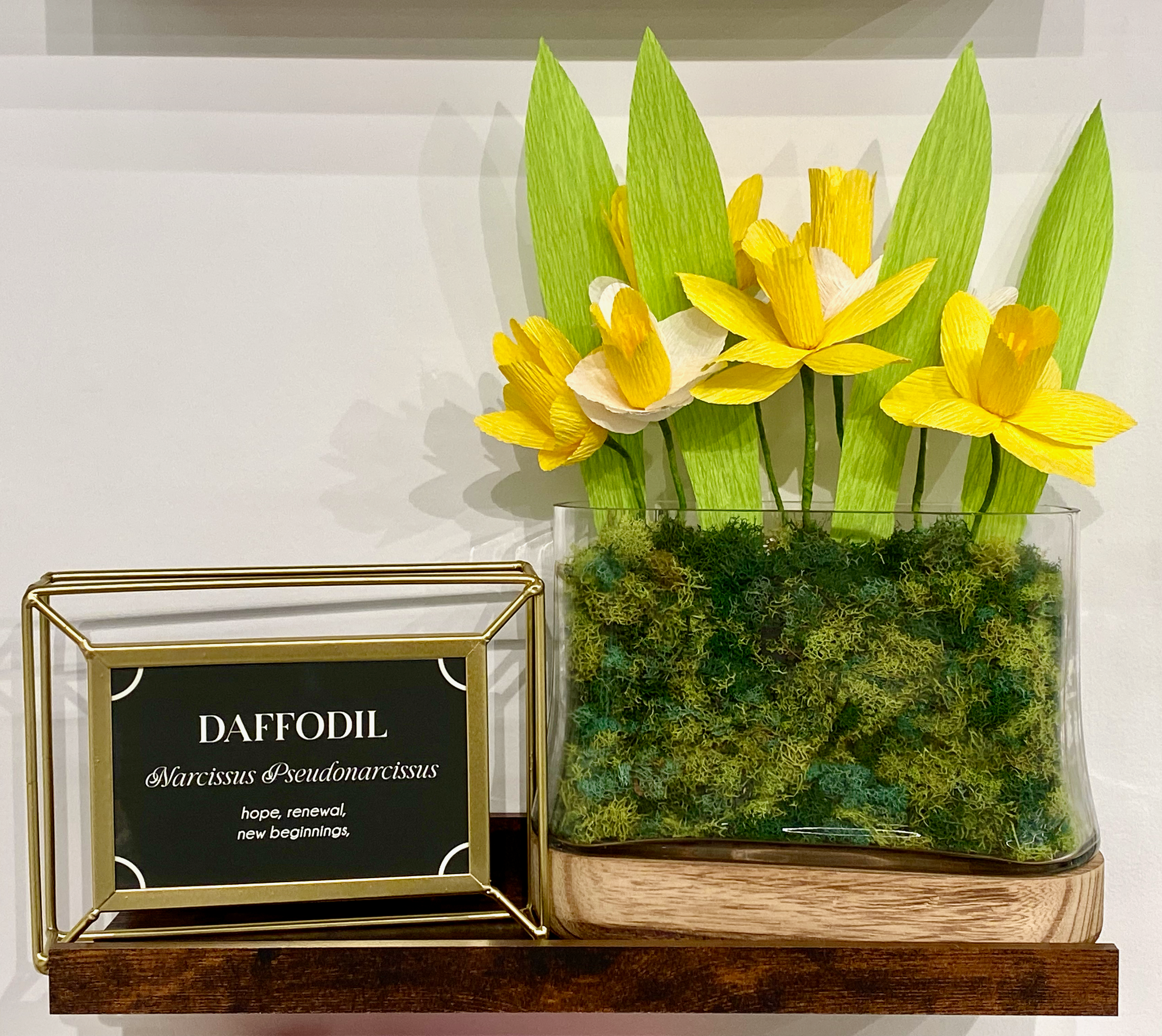 Sunroom: Daffodil
crepe paper, wire, floral tape, glue
10 in x 15 in x 3 in
2025