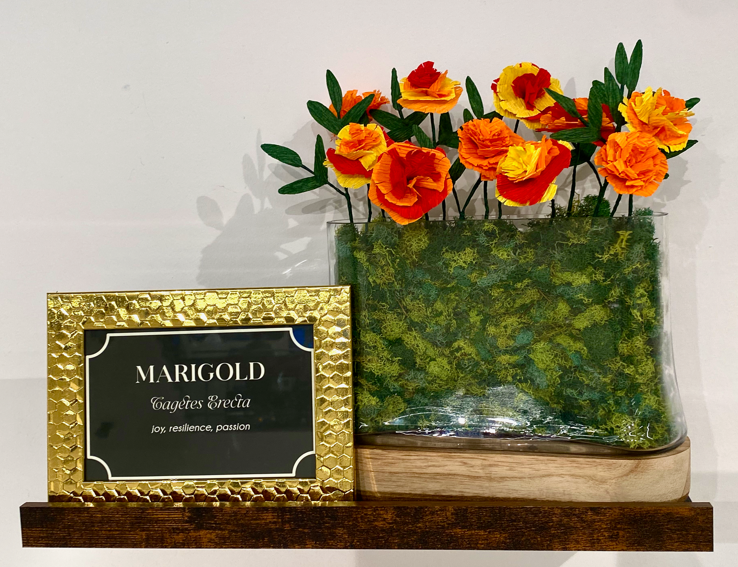 Sunroom: Marigolds
crepe paper, wire, floral tape, glue
10 in x 11 in x 3 in
2025