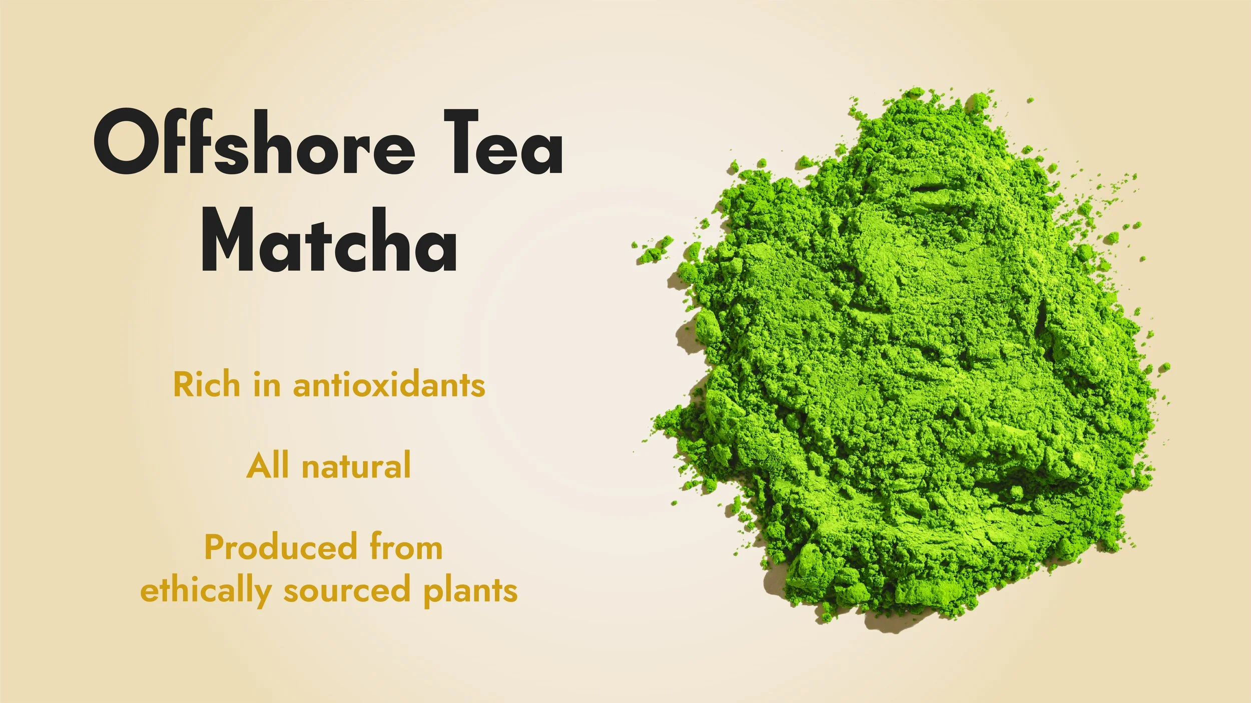 2026 rad tv screen_coffee lounge 3_matcha.jpg