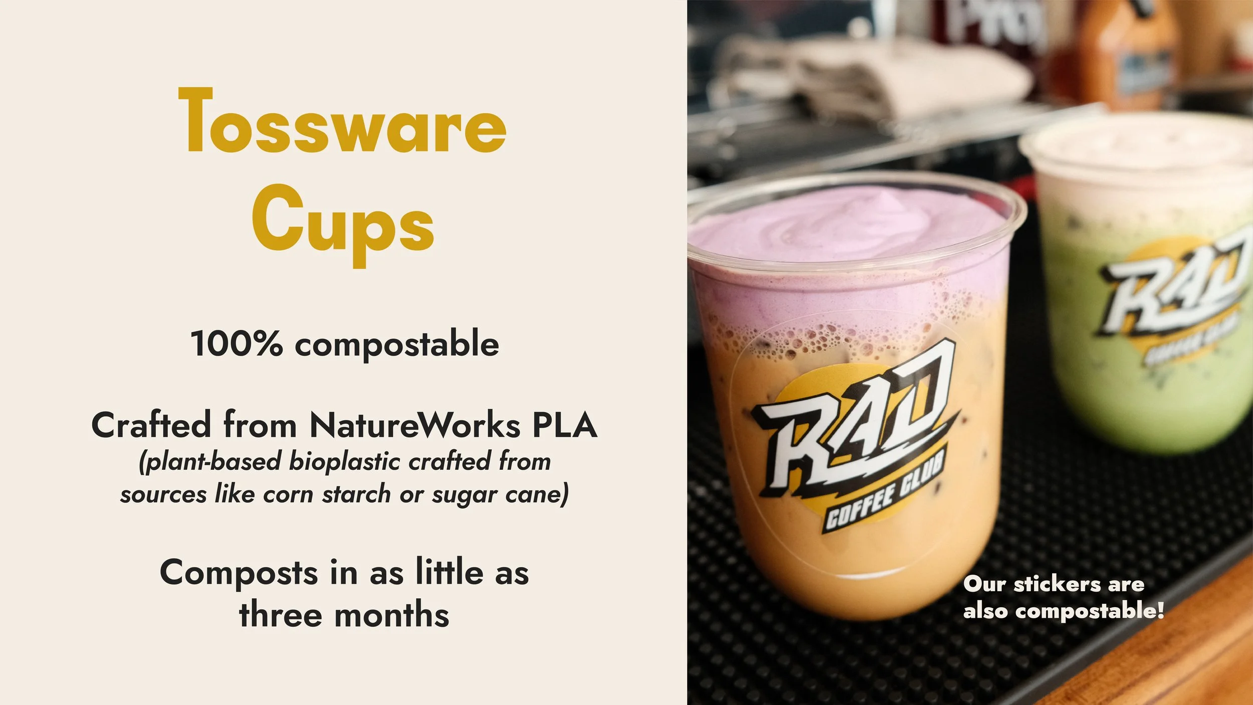 2026 rad tv screen_coffee lounge 7_cups.jpg