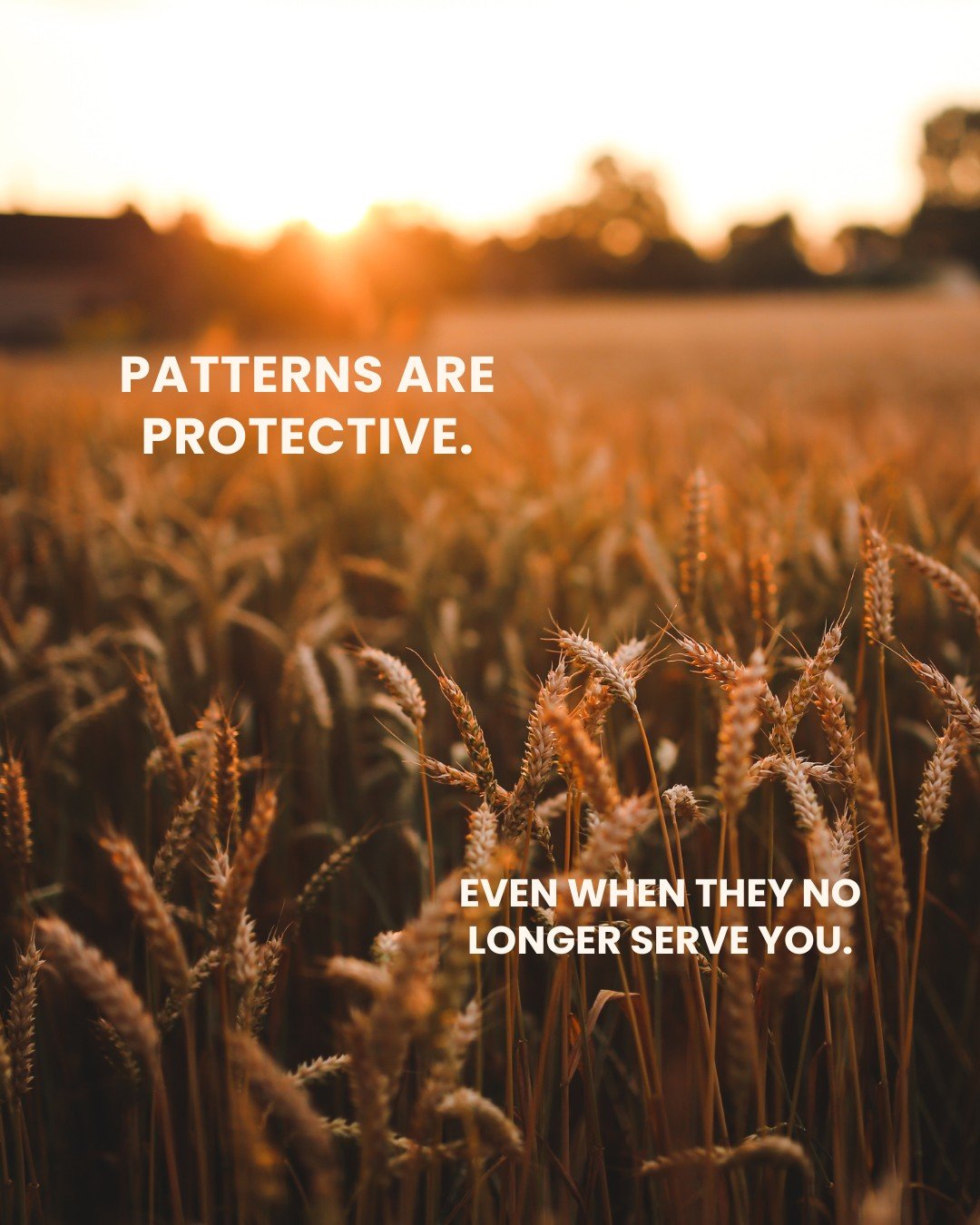 Feeling trapped in old patterns? You might be more stuck than you think.

Our brains are naturally looking for a way forward that makes us feel safe. But when danger gets involved, actions that might have once kept us safe can have lasting impacts th