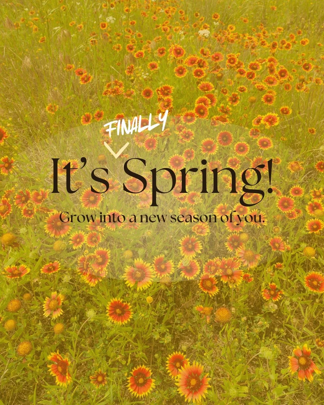 Finally, spring is here 🌱

We&rsquo;re opening windows, going outside, and pretending we have our lives together again. Who&rsquo;s excited for prairie flowers, warm days, and sunshine? 🌞🌻

Before tornado season picks up&hellip; 😅

#oklahomamenta