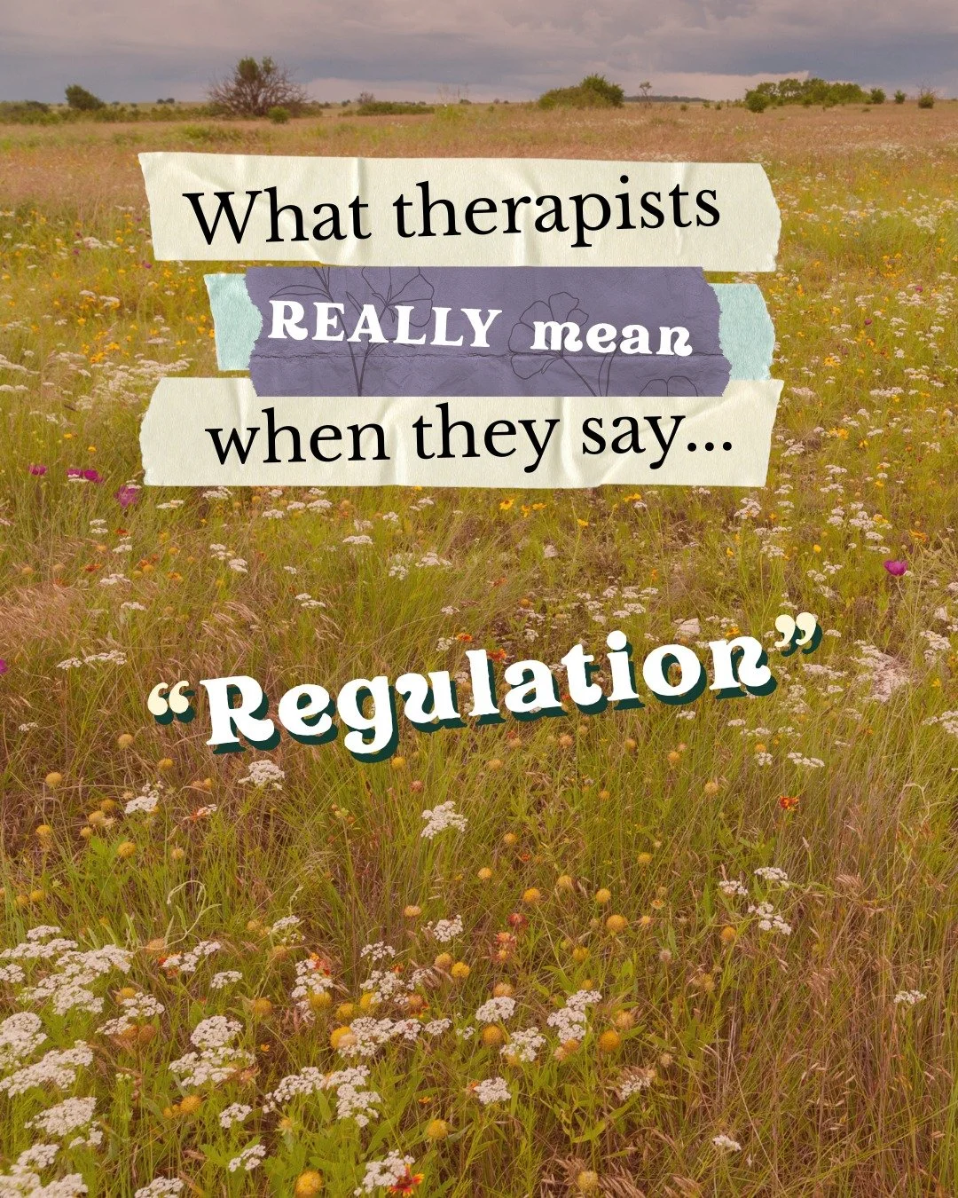 Regulation is a newer buzzword, alongside &ldquo;nervous system,&rdquo; but what does it actually mean?

At its core, regulation means being able to move through emotions and reactions without feeling completely overtaken by them.

When someone has e