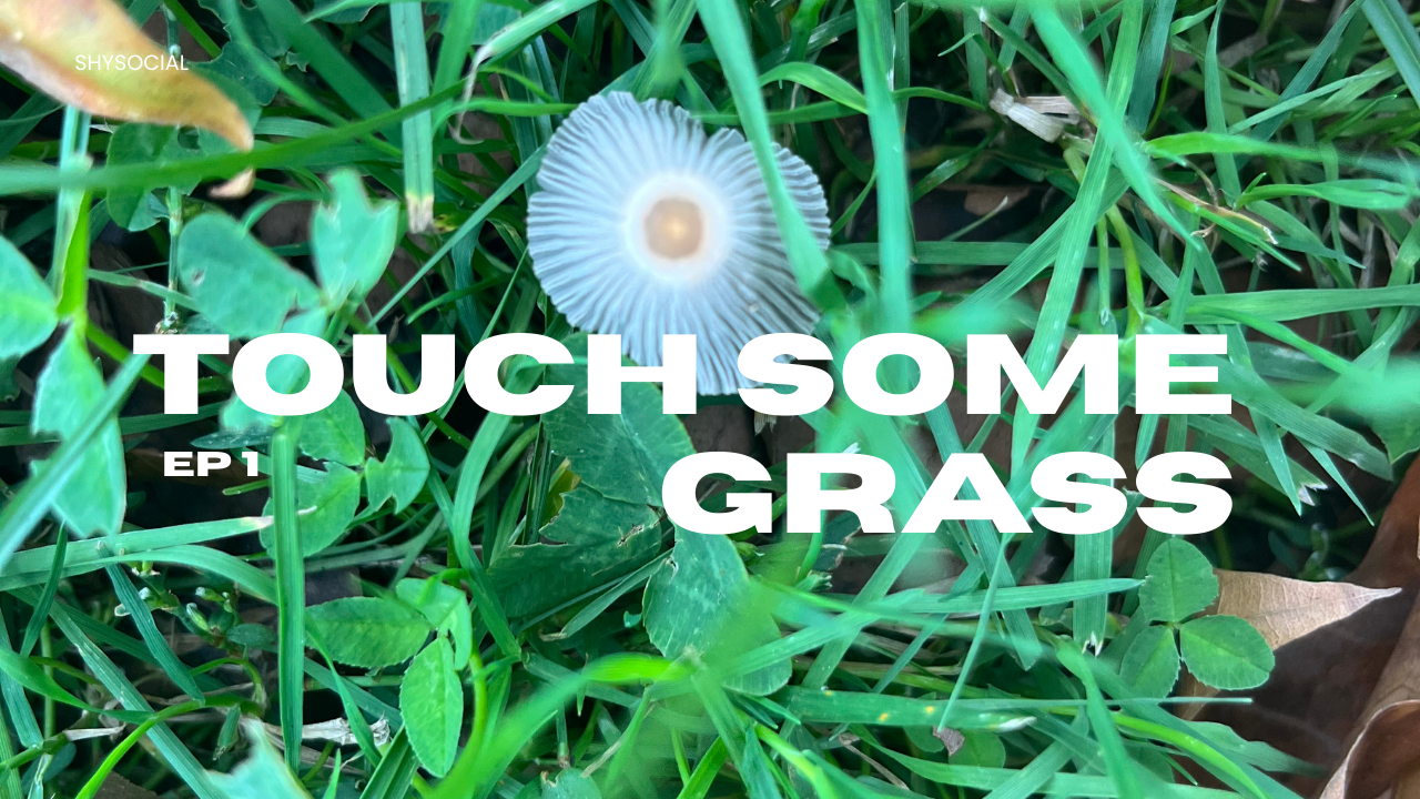 Touch Some Grass.png