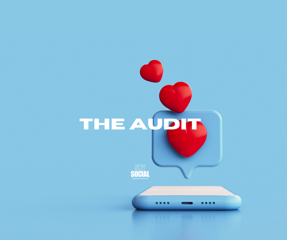 The Audit