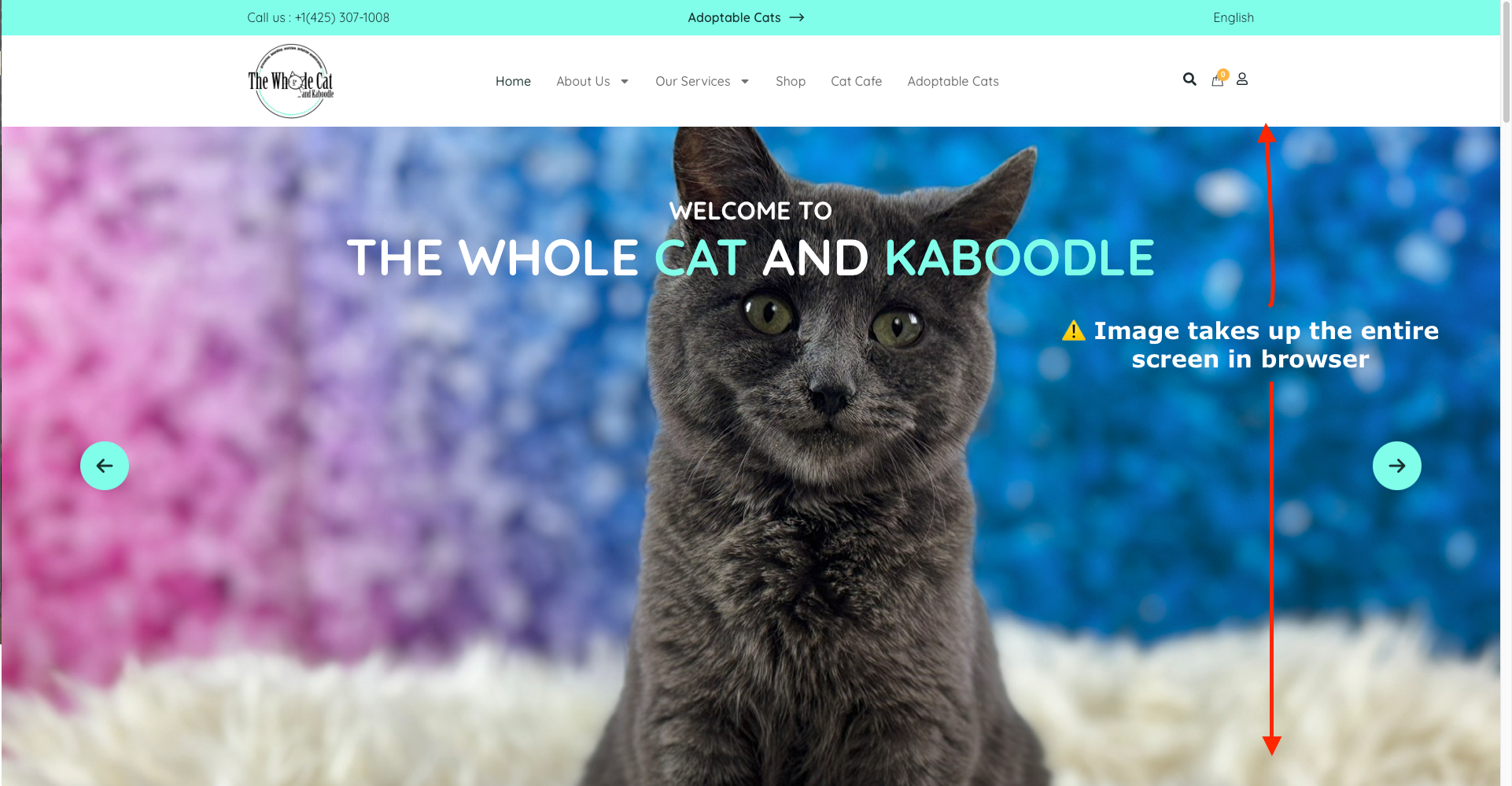 Homepage of cat shelter website with a very large image of a dark grey cat.