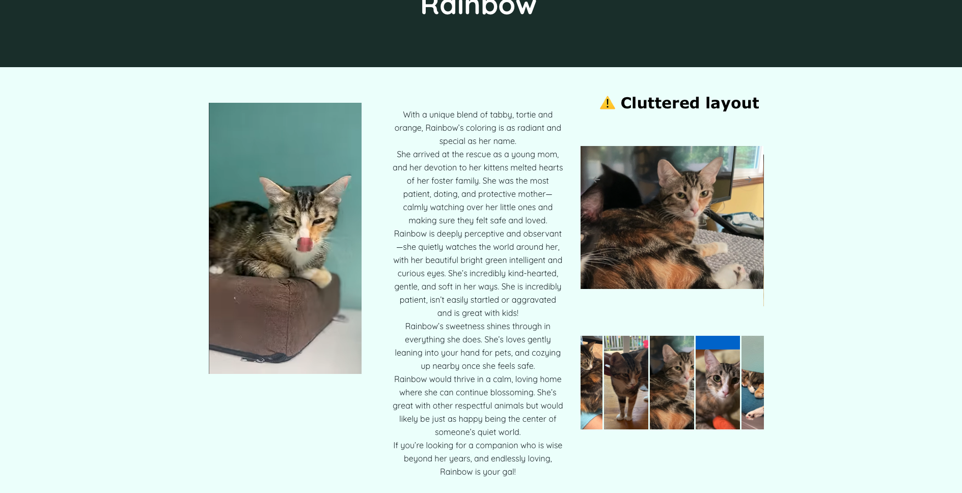 Cluttered layout of an adoptable cat profile.