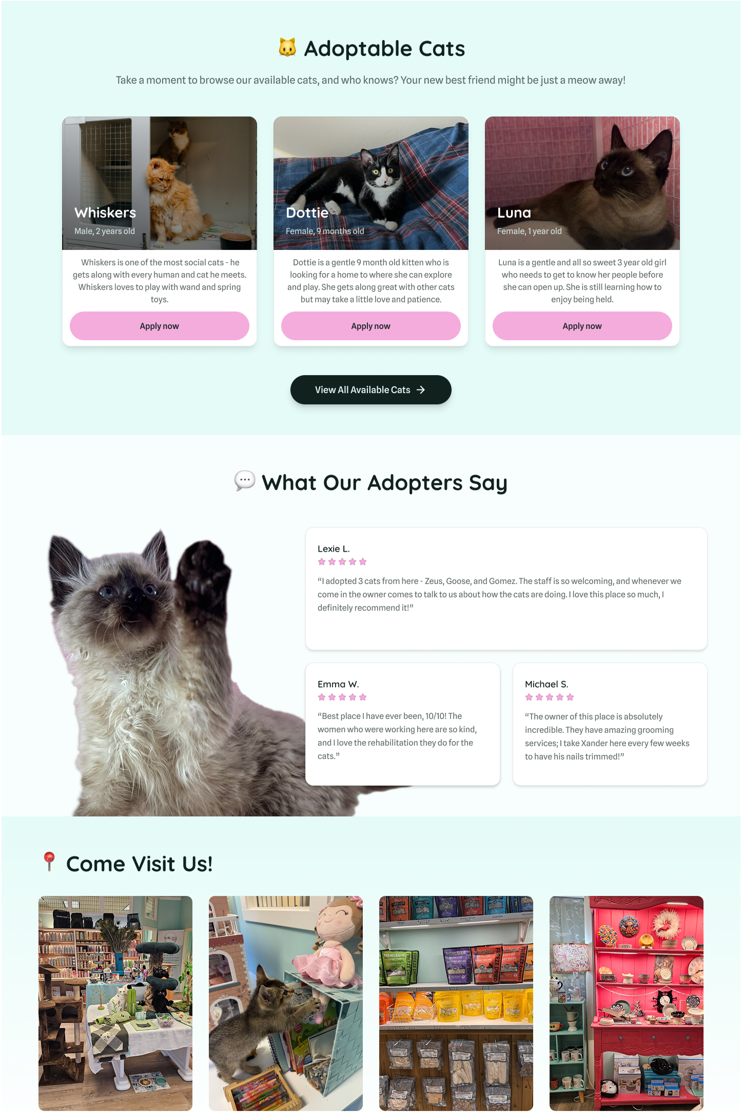 A webpage featuring adoptable cats with photos and descriptions, testimonials from adopters, and store images.