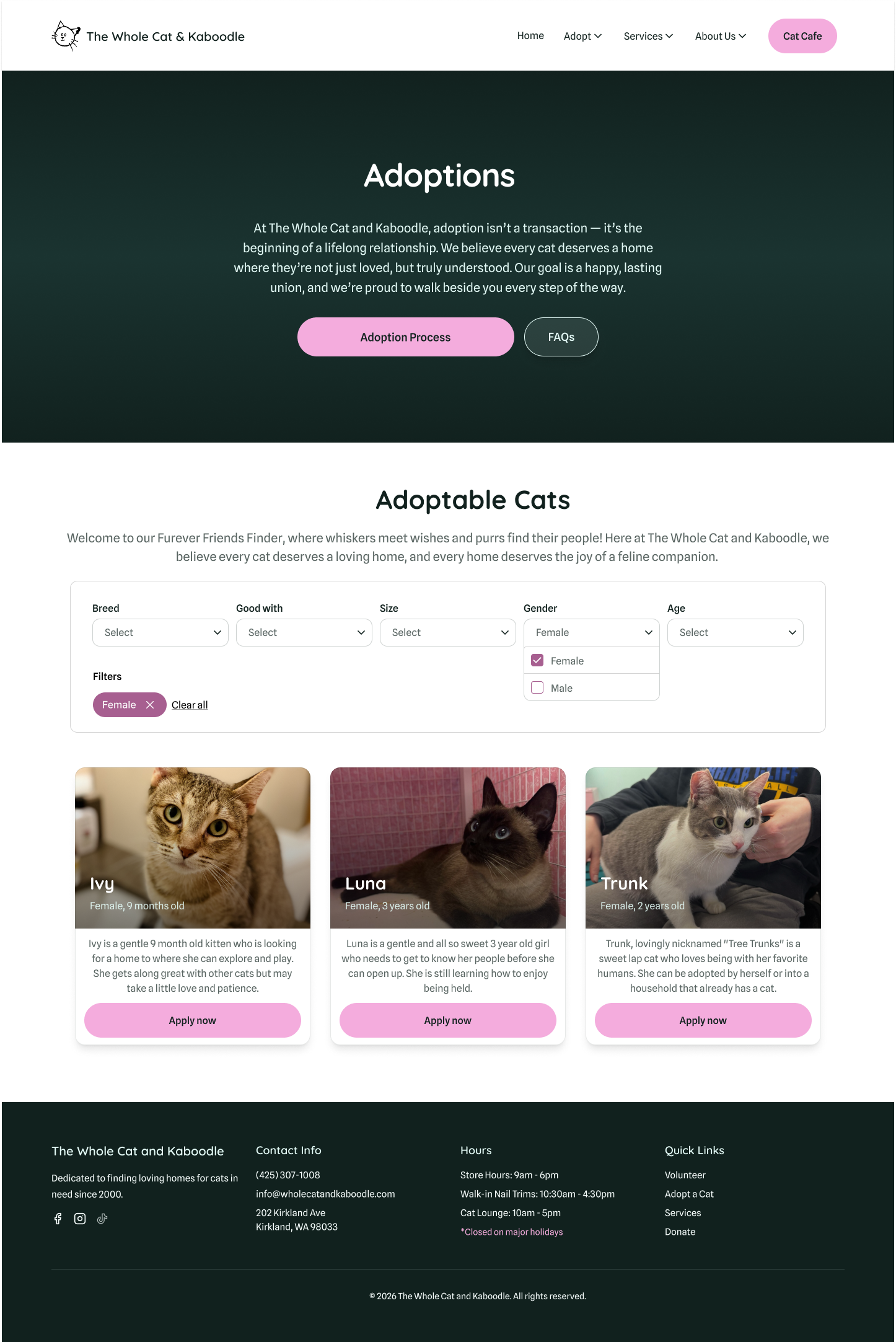 Website page for The Whole Cat and Kaboodle, featuring information about cat adoptions. Includes a header with navigation links, a section about adoption process, filters for choosing adoptable cats, and photos of three cats named Ivy, Luna, and Trunk with their details and apply buttons.