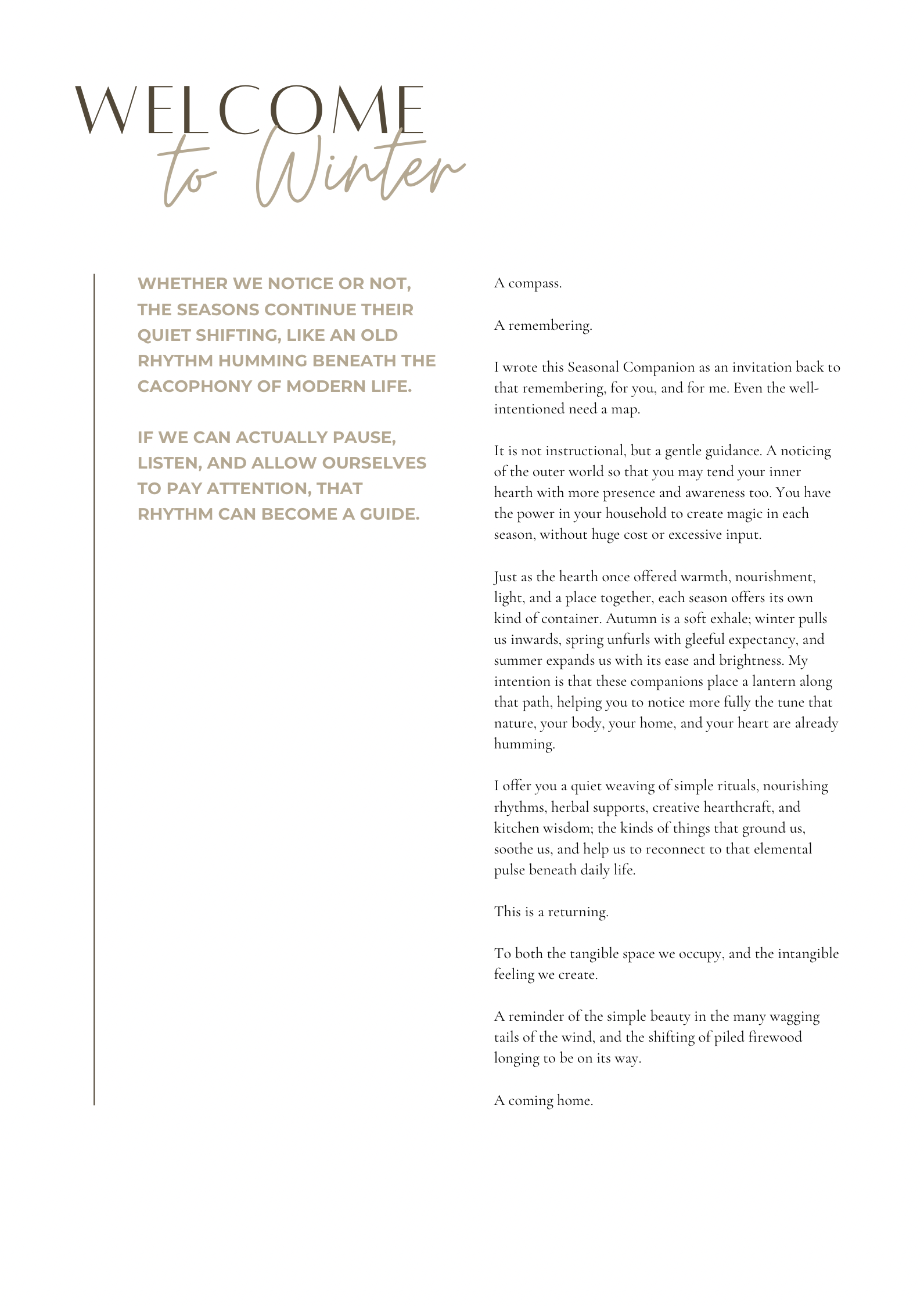 Winter Companion - 4.png