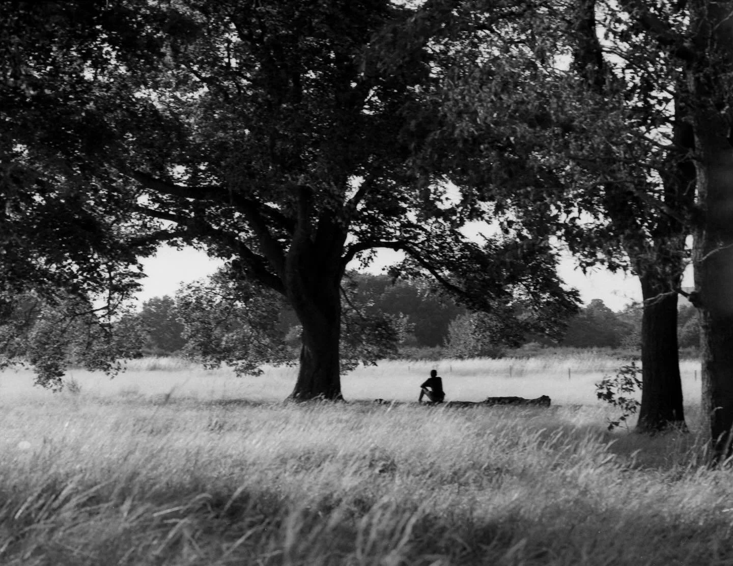 First time on medium format in a long time (: 

Camera : Bronica ETRS, 150mm 3.5
Film: @ilfordphoto HP5
Dev @cinestillfilm Monobath

#filmphotography #landscape #ilfordhp5